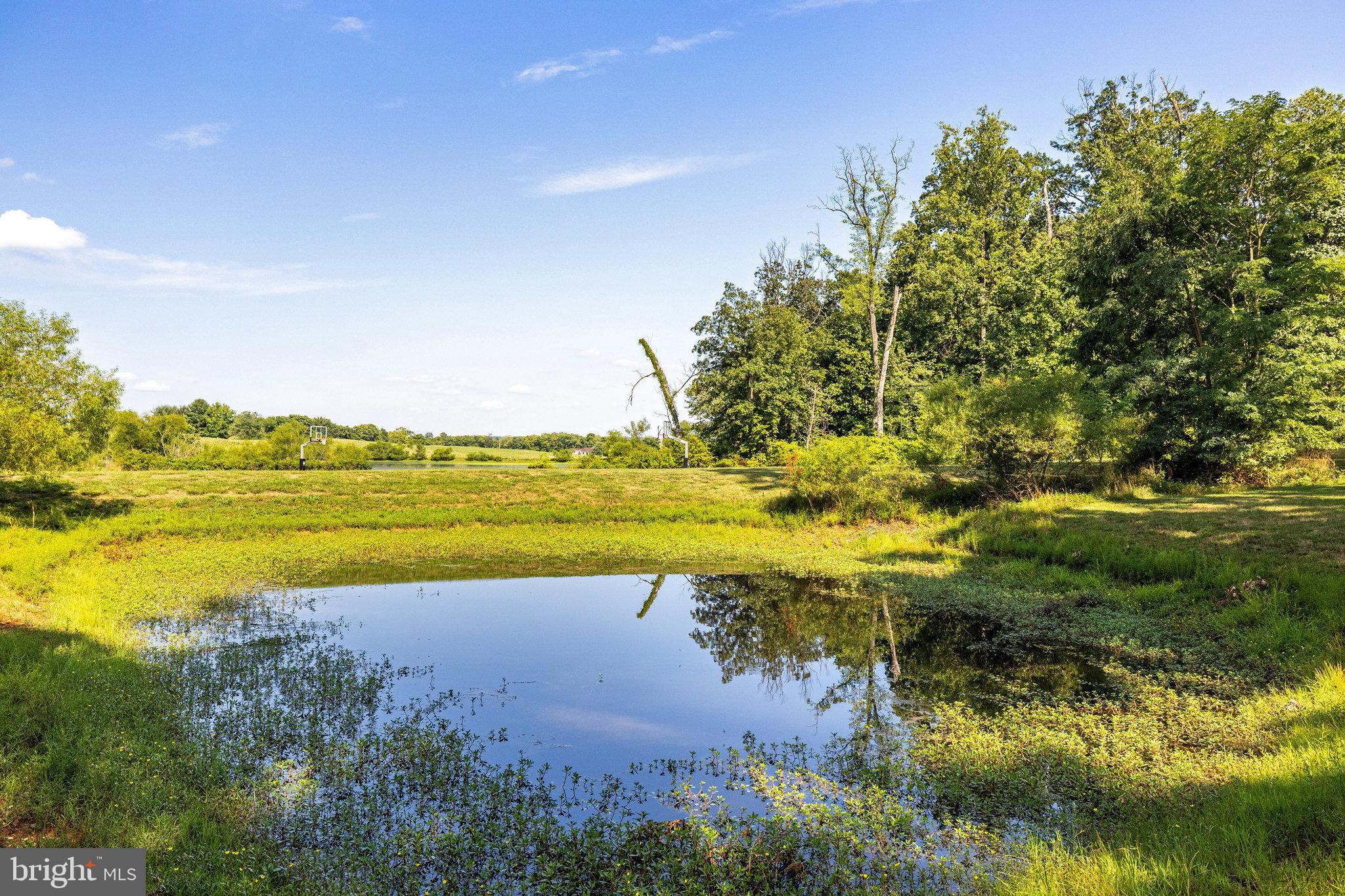 HISTORIC SELMA ESTATES - Residential