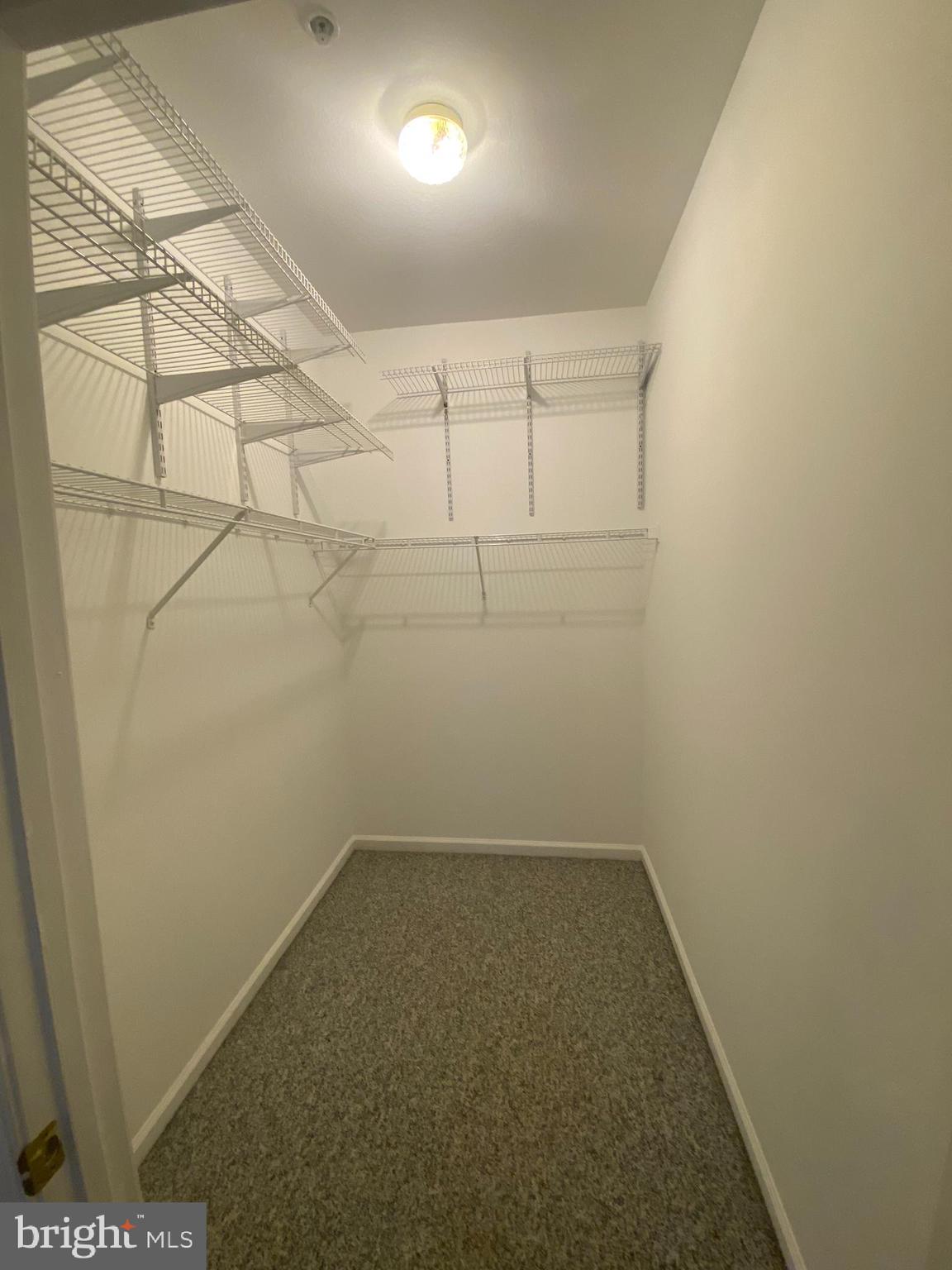 BAILEY SPRINGS - Residential Lease