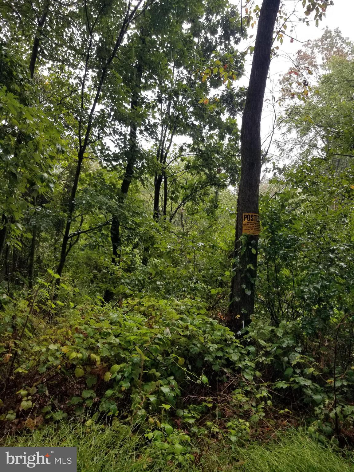 Lot 094 FIRELINE RD