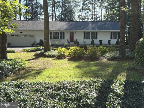 6446 AYRES LANE SNOW HILL MD 21863