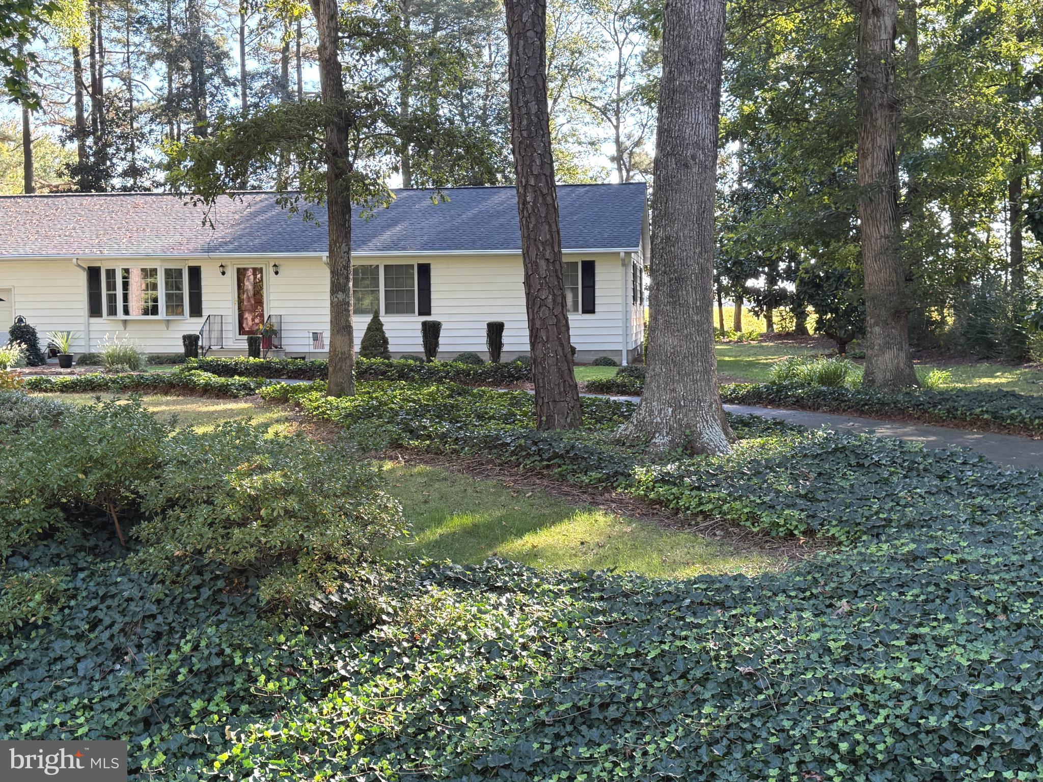6446 AYRES LANE