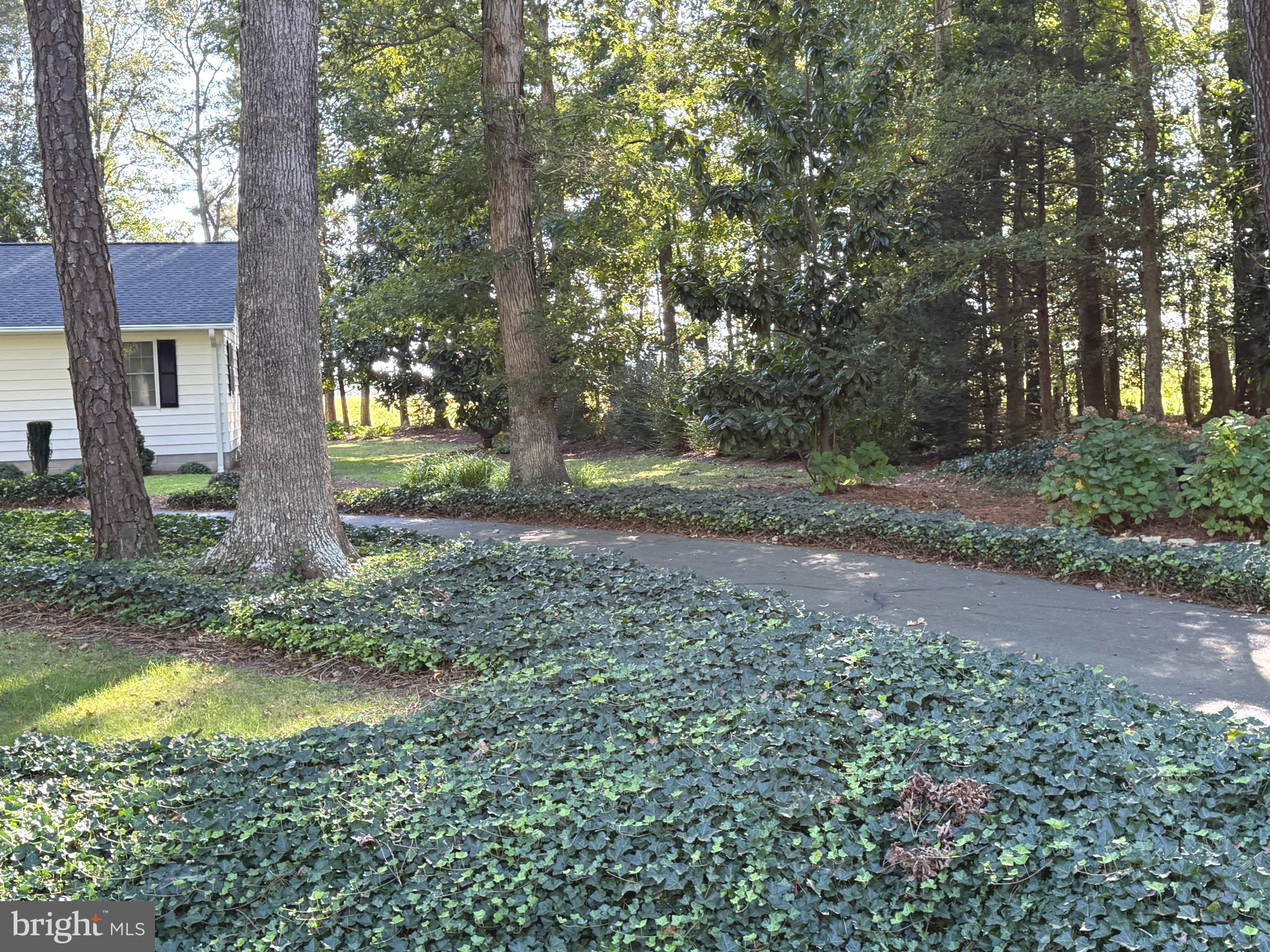 6446 AYRES LANE