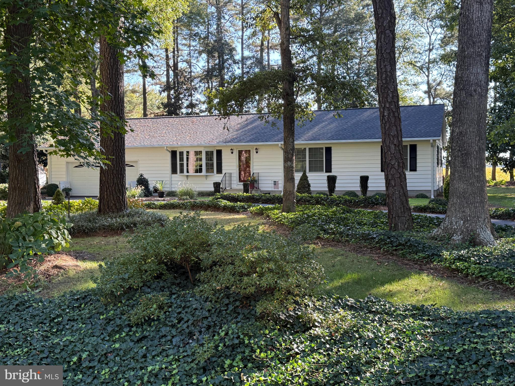 6446 AYRES LANE