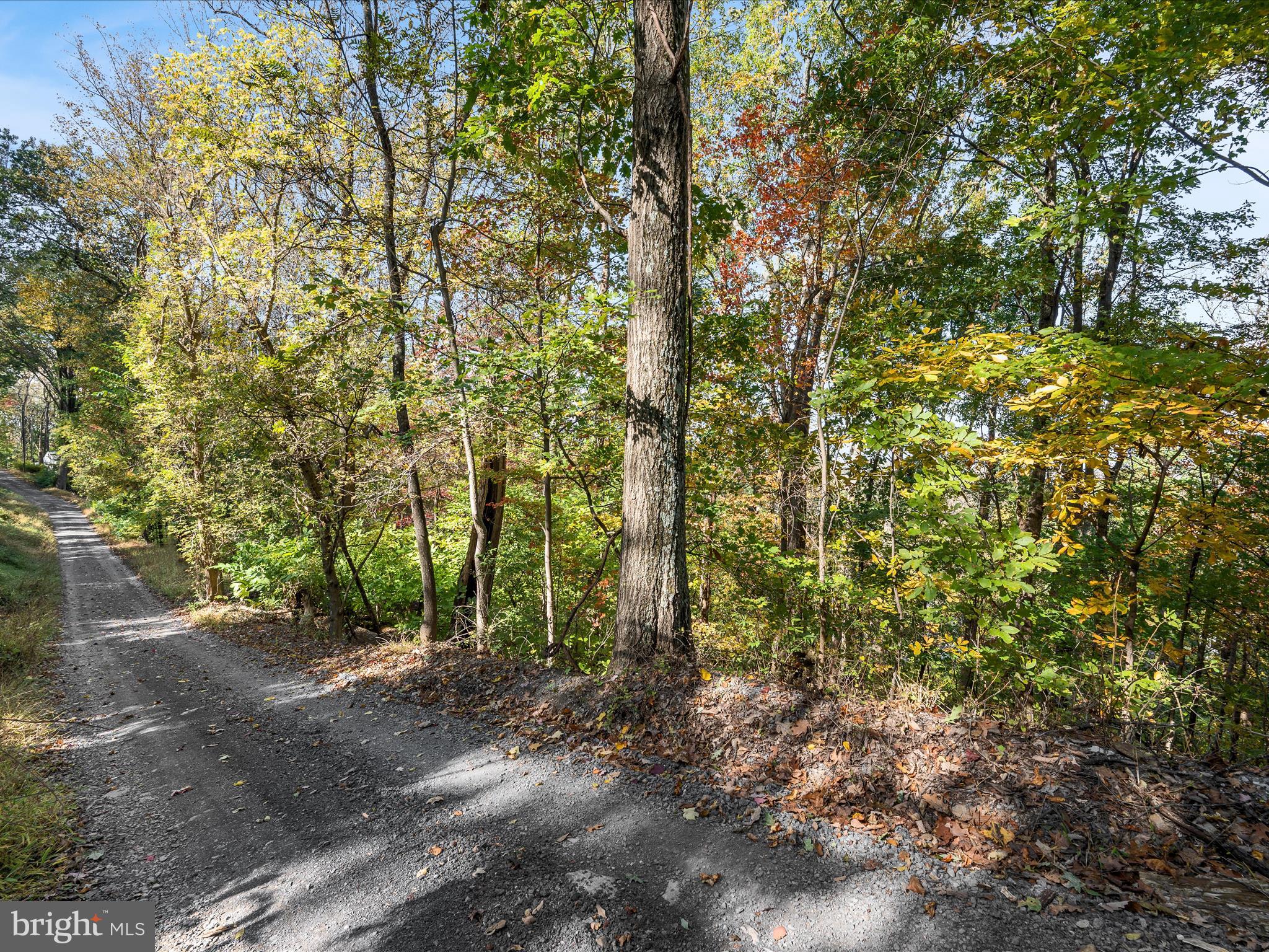 Lots 2 & 3 WOLFE HILL ROAD