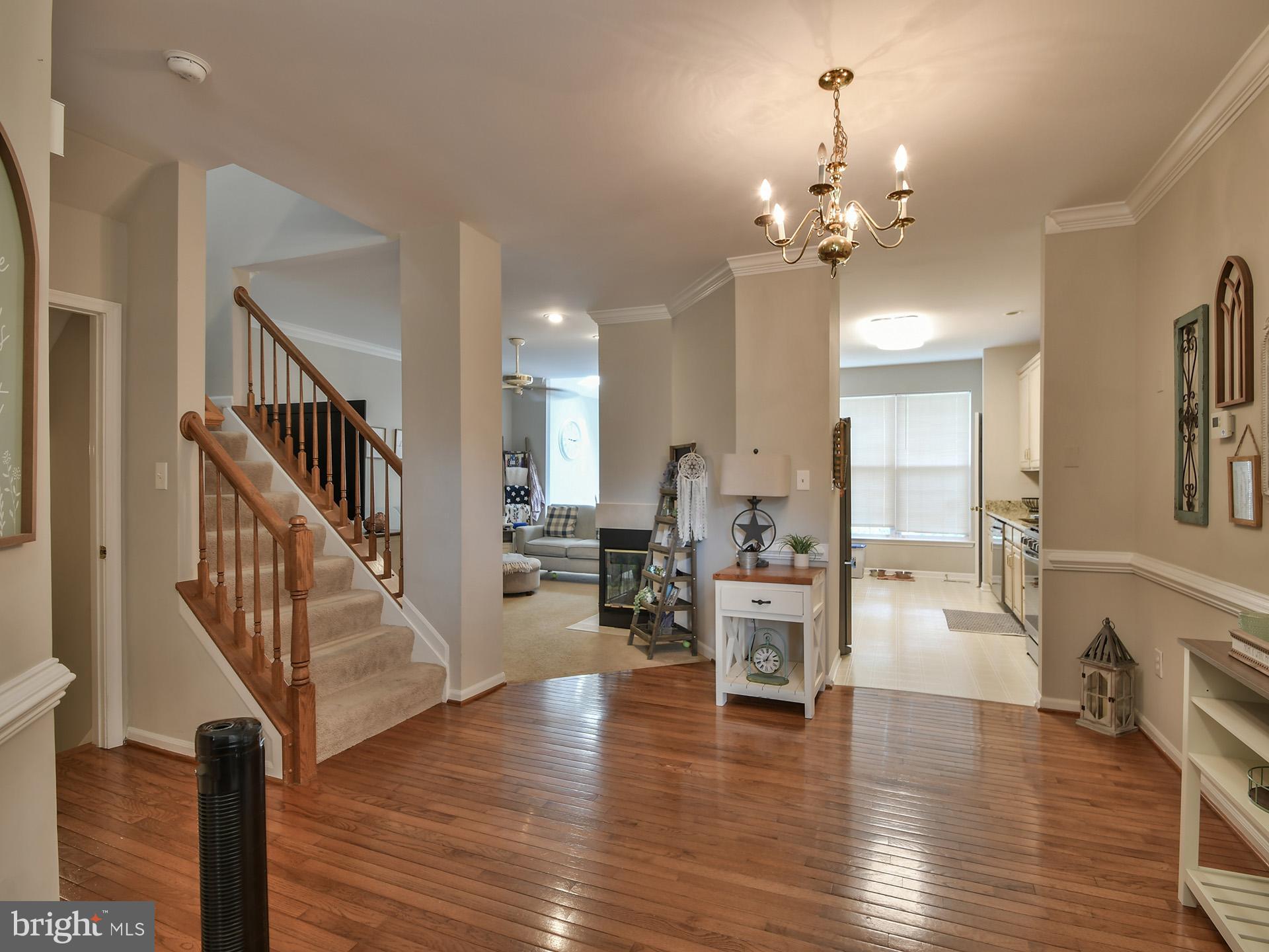 5807 IVY LEAGUE