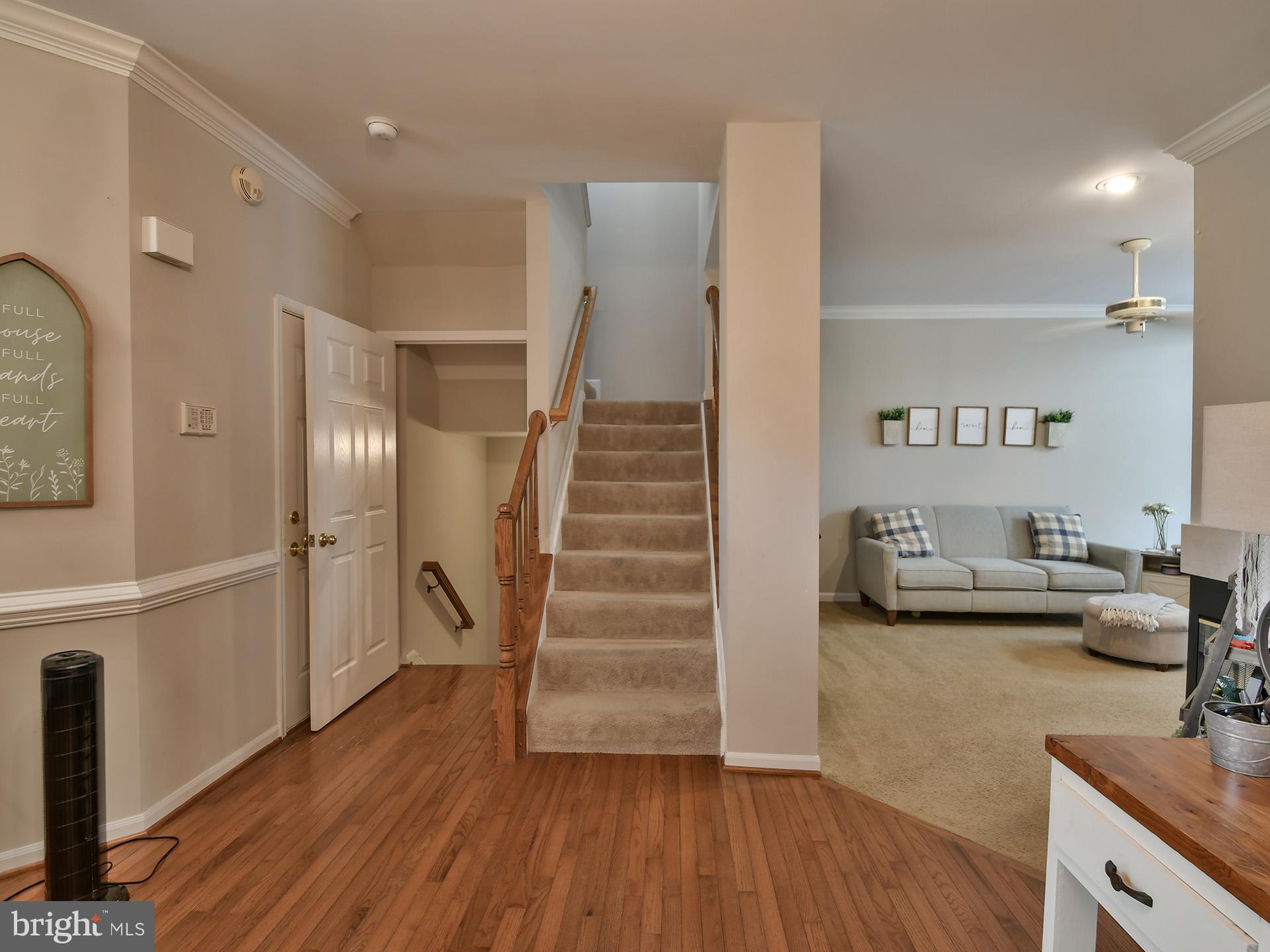 5807 IVY LEAGUE