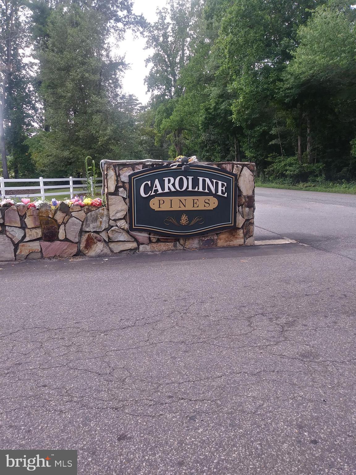 CAROLINE PINES - Land