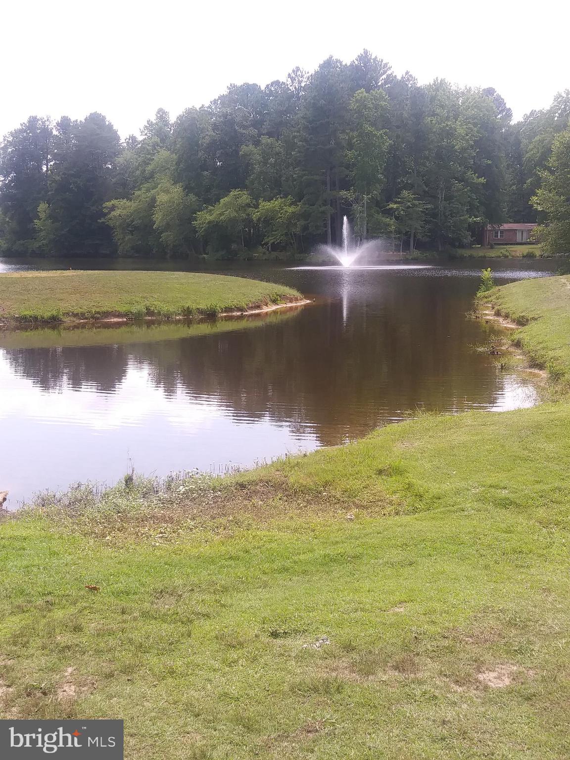 CAROLINE PINES - Land