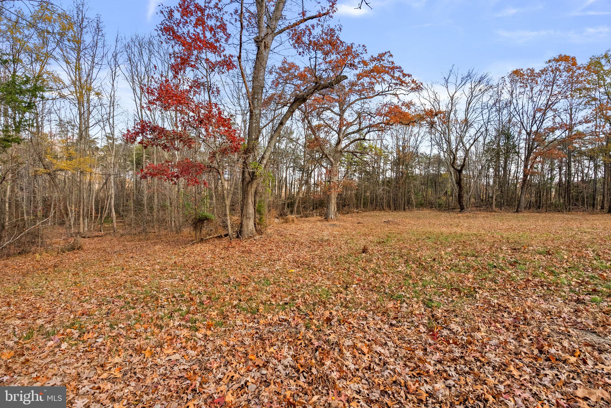 BRANDYWINE - Residential