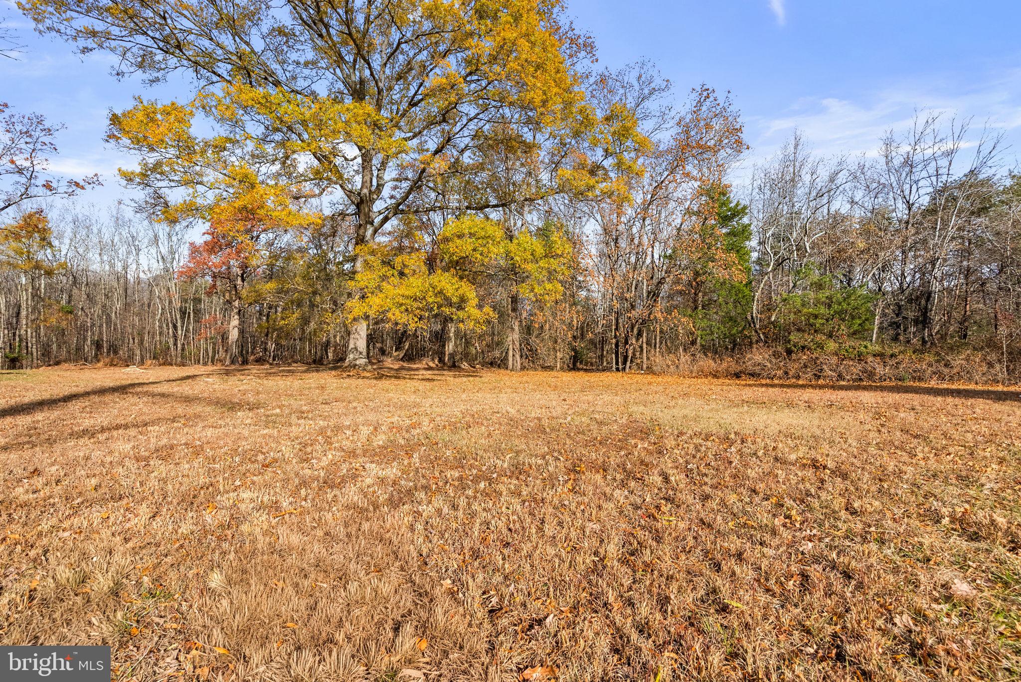 BRANDYWINE - Residential