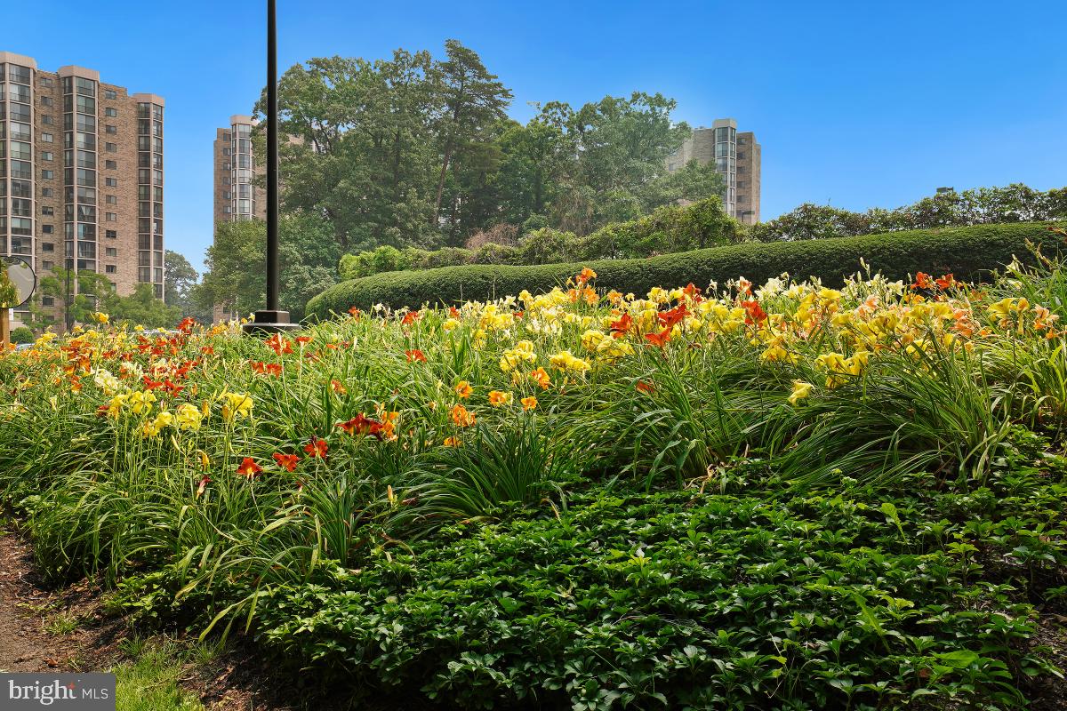 MONTEBELLO - Residential Lease