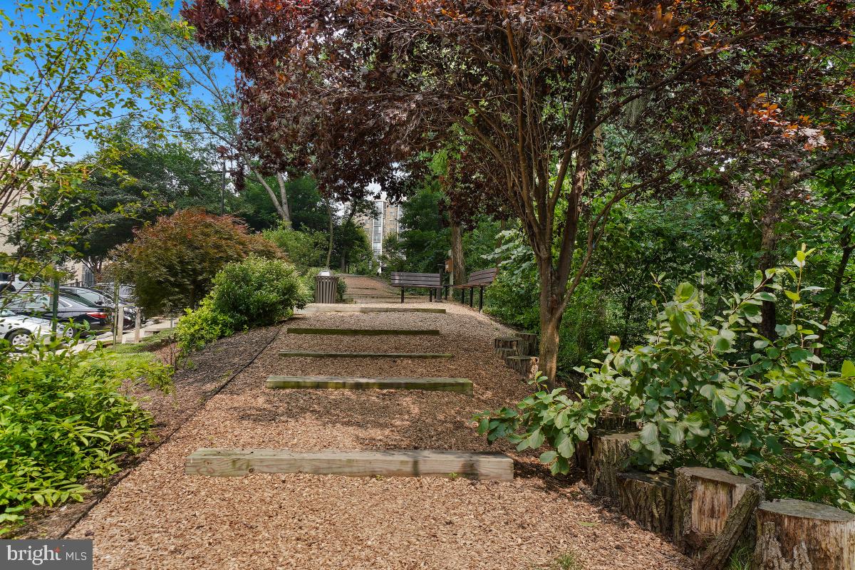 MONTEBELLO - Residential Lease