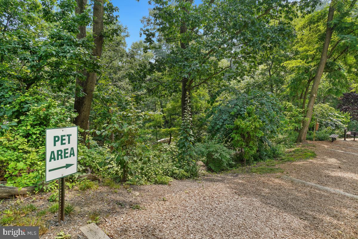 MONTEBELLO - Residential Lease