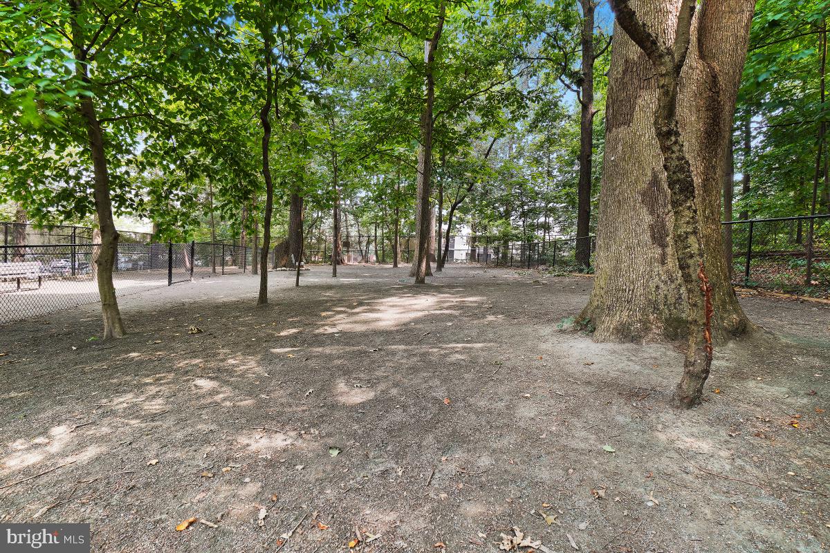 MONTEBELLO - Residential Lease