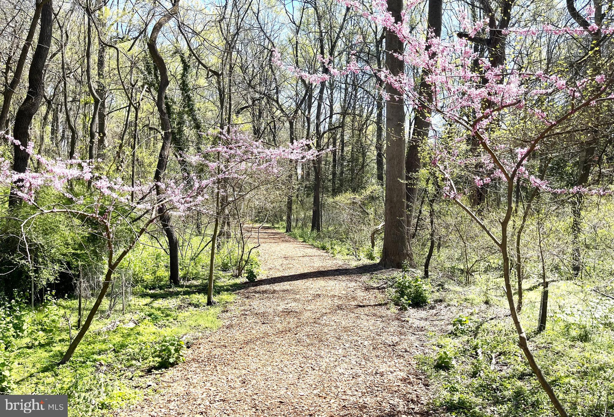 RIVA TRACE - Residential