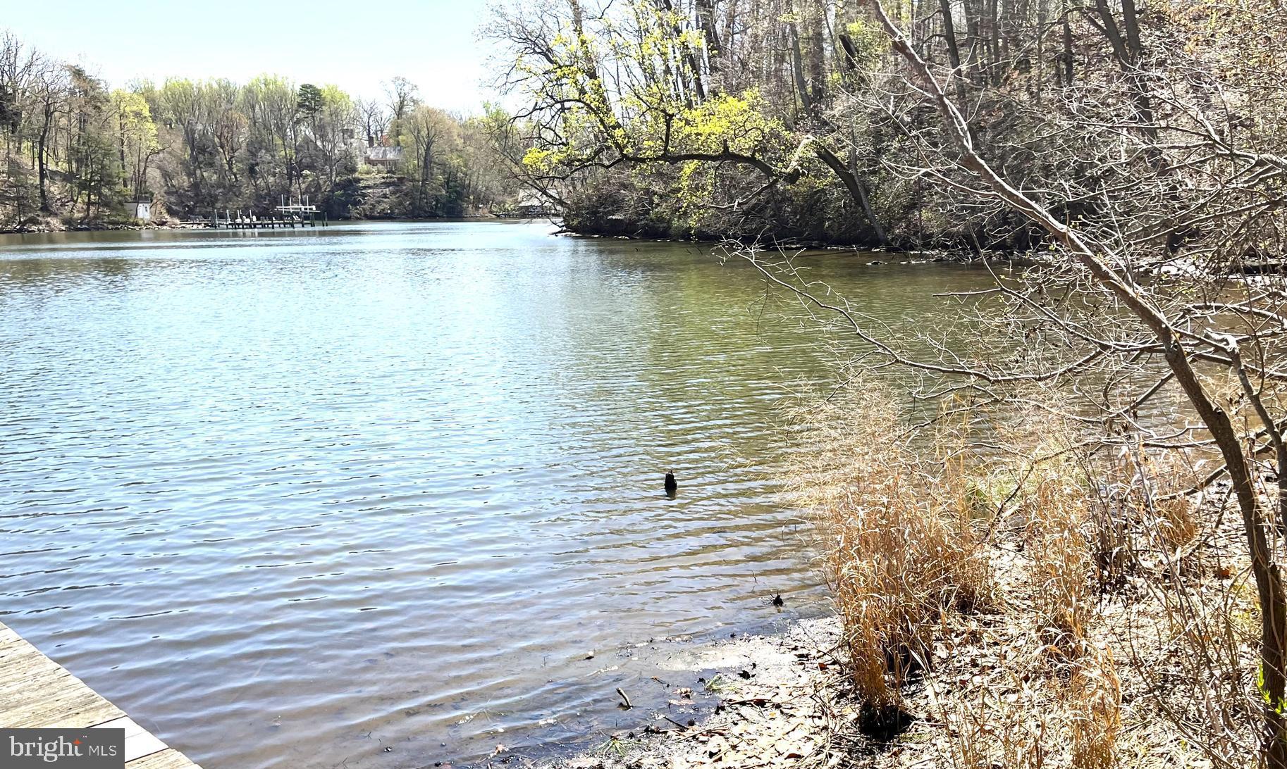 RIVA TRACE - Residential