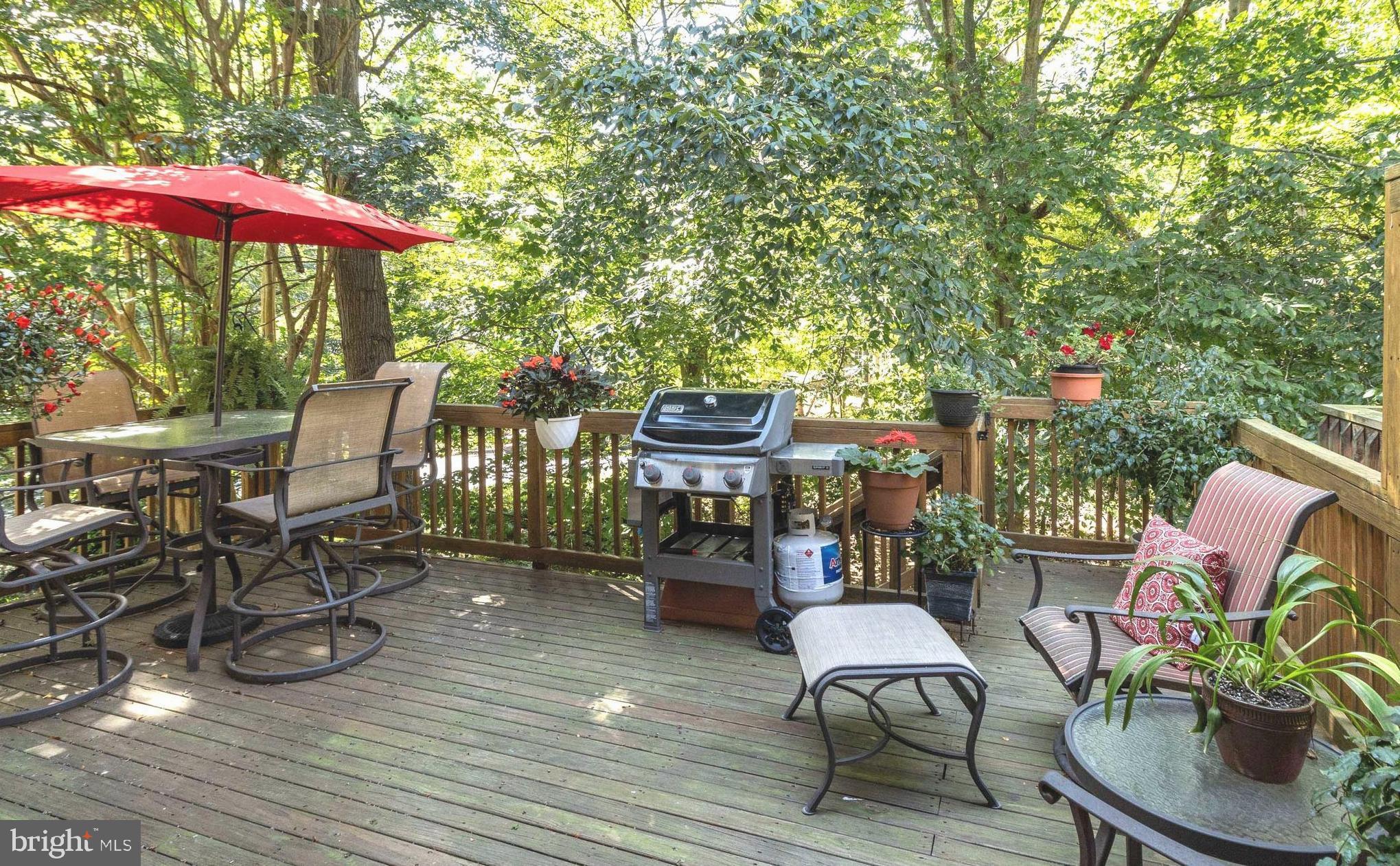 RIVA TRACE - Residential