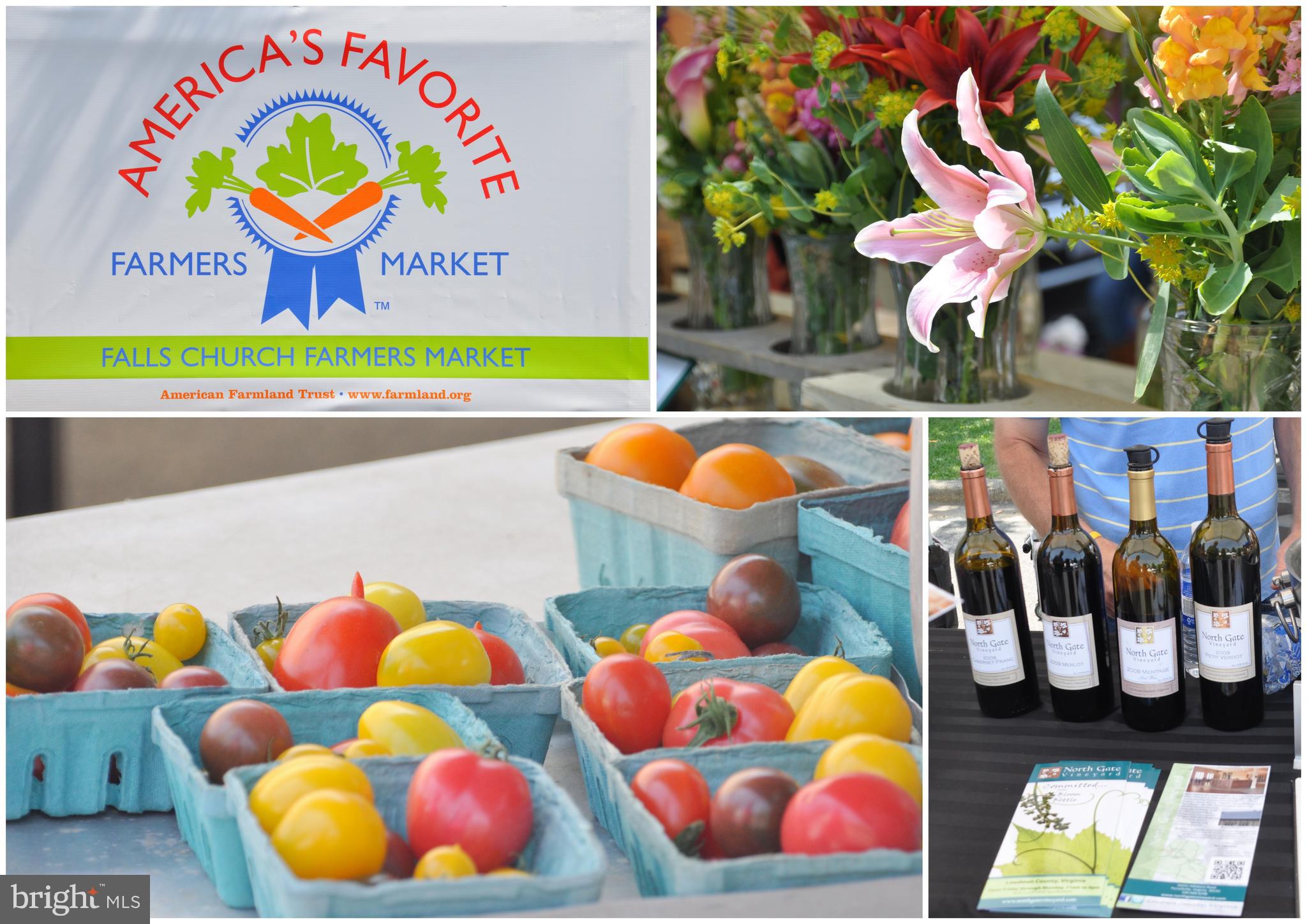 LAKEFORD - Residential