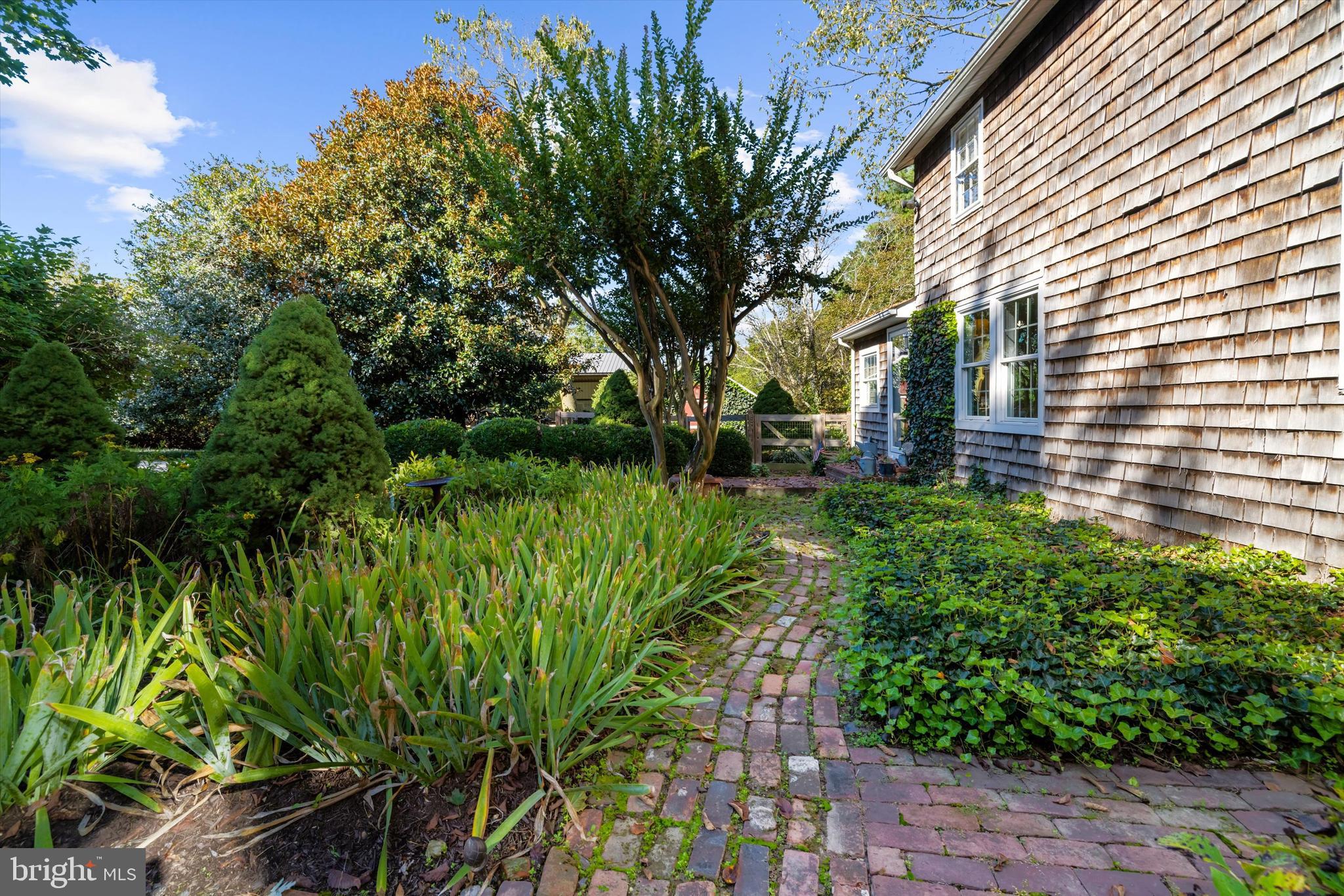 GRANNY BRANCH - Residential