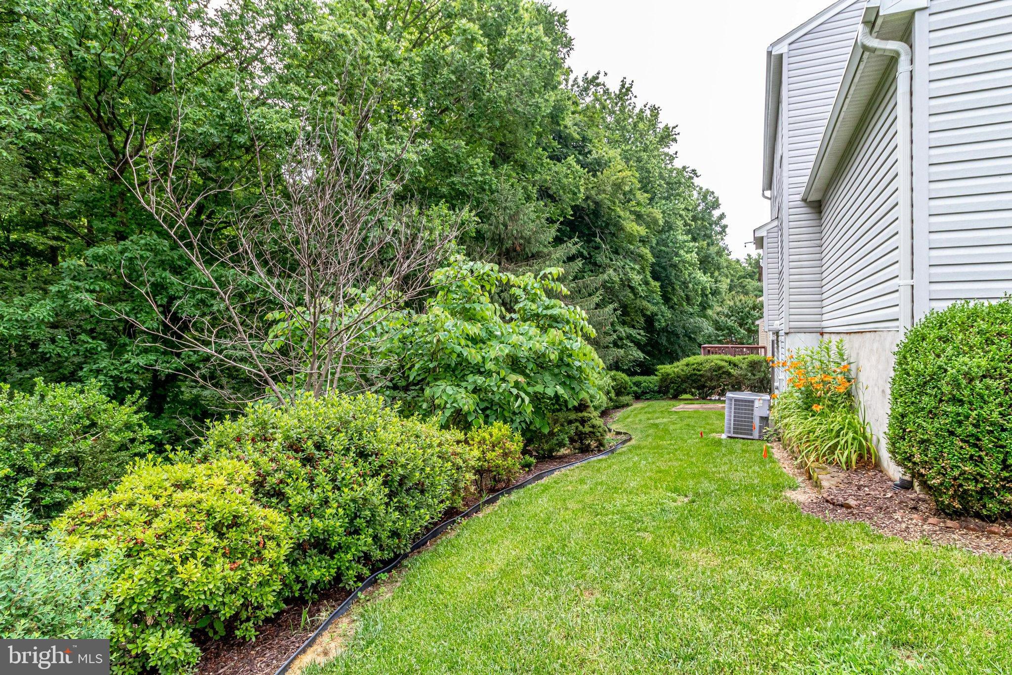 LONG BRANCH - Residential Lease