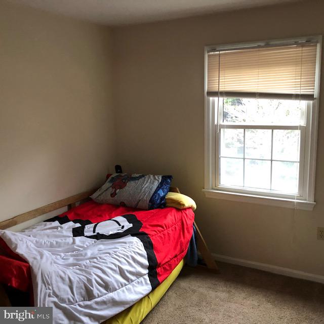 SHADY DALE - Residential