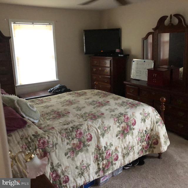 SHADY DALE - Residential