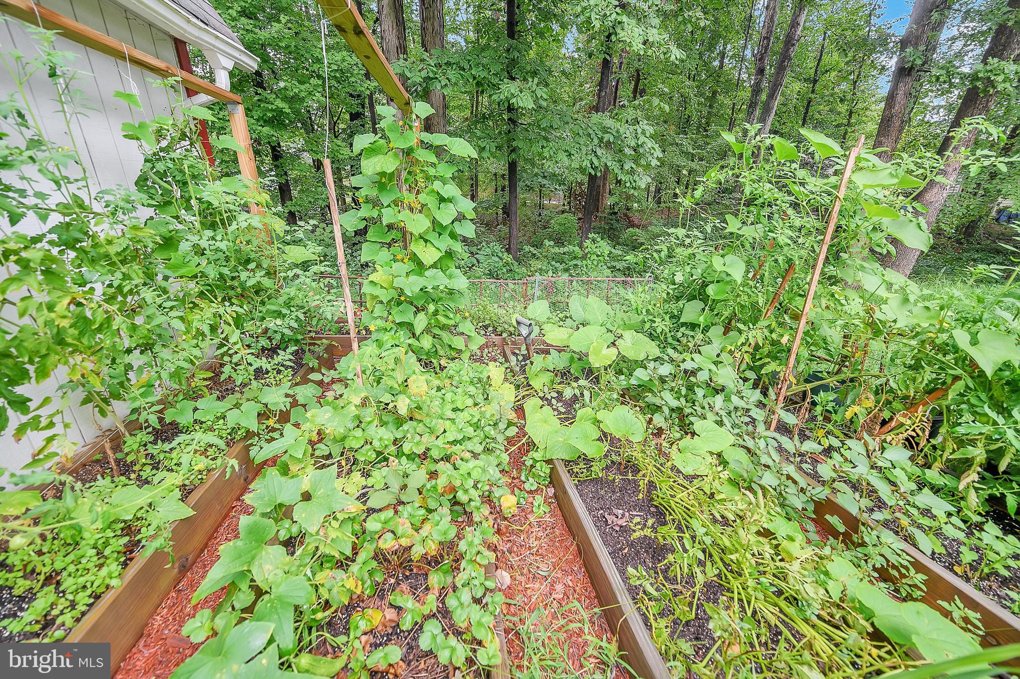 NORTH FERRY FARMS - Residential