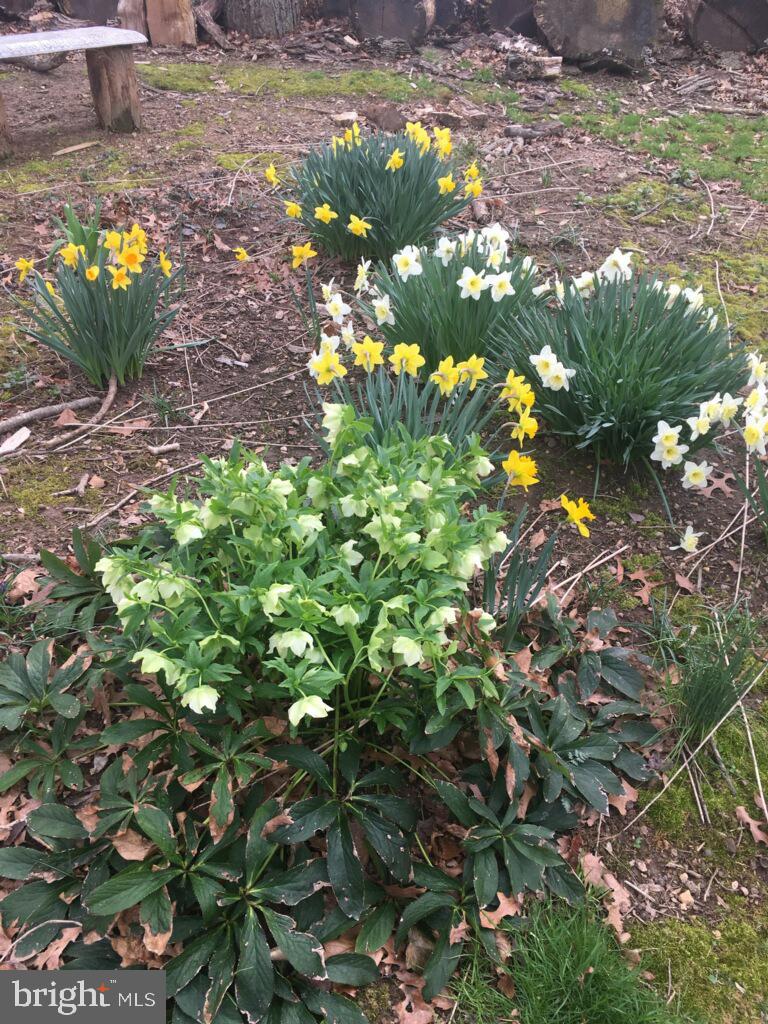 KINGS PARK WEST - Residential