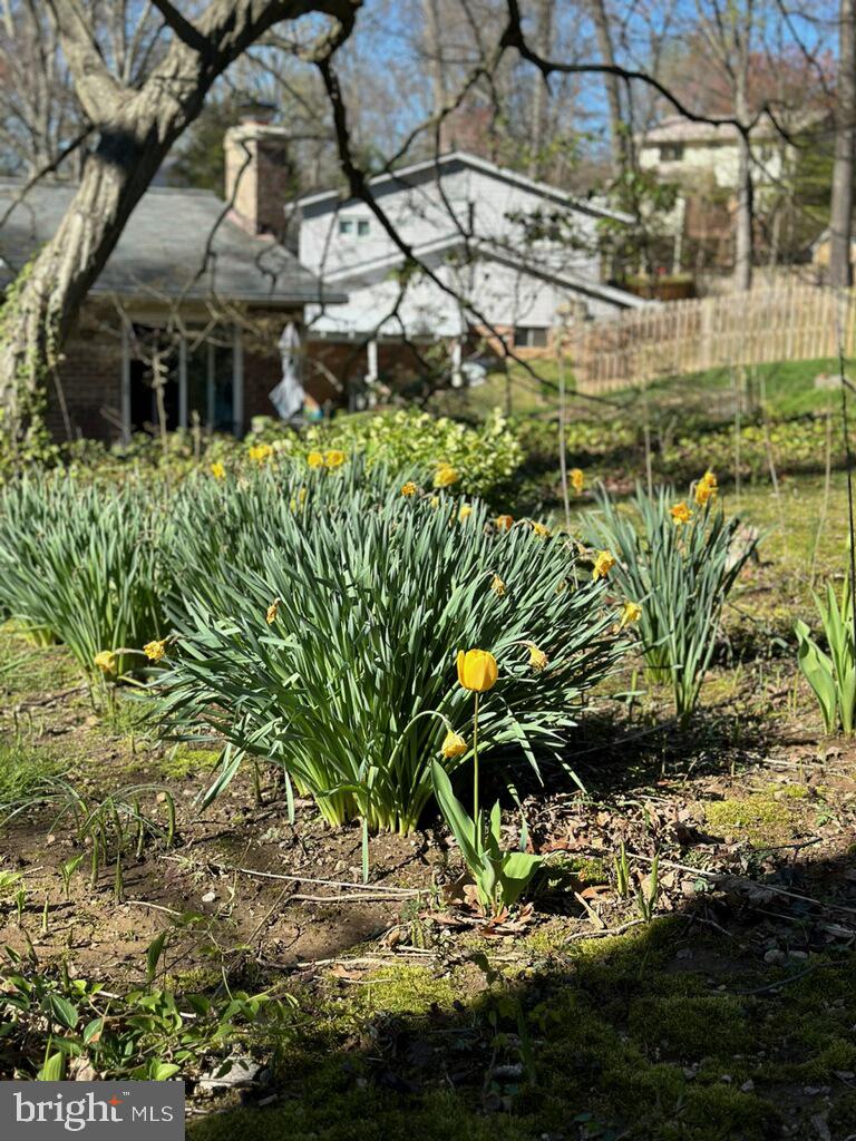 KINGS PARK WEST - Residential
