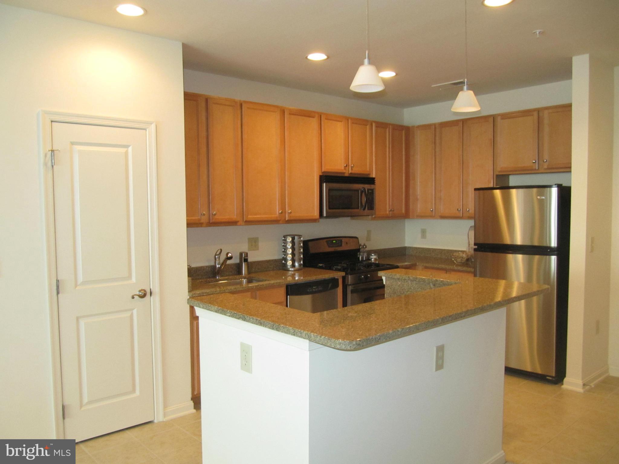 HALSTEAD AT THE METRO - Residential Lease