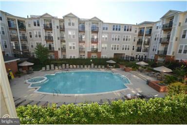 HALSTEAD AT THE METRO - Residential Lease