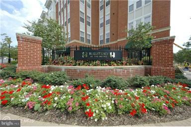 HALSTEAD AT THE METRO - Residential Lease