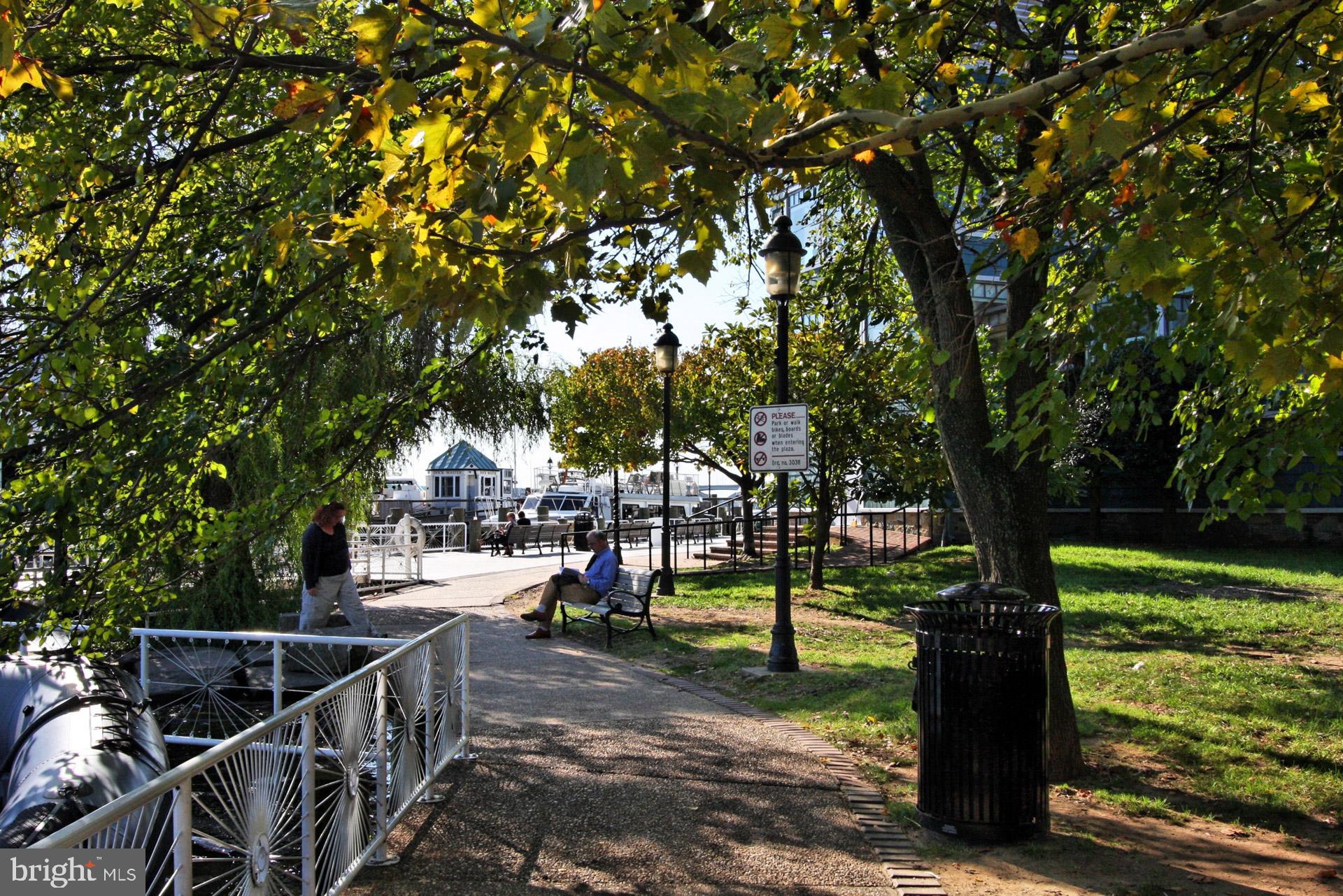 THE JAMIESON - Residential