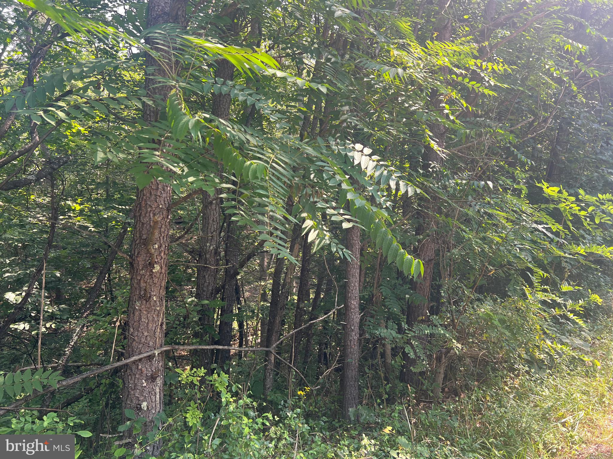 COUNTRY ACRES - Land