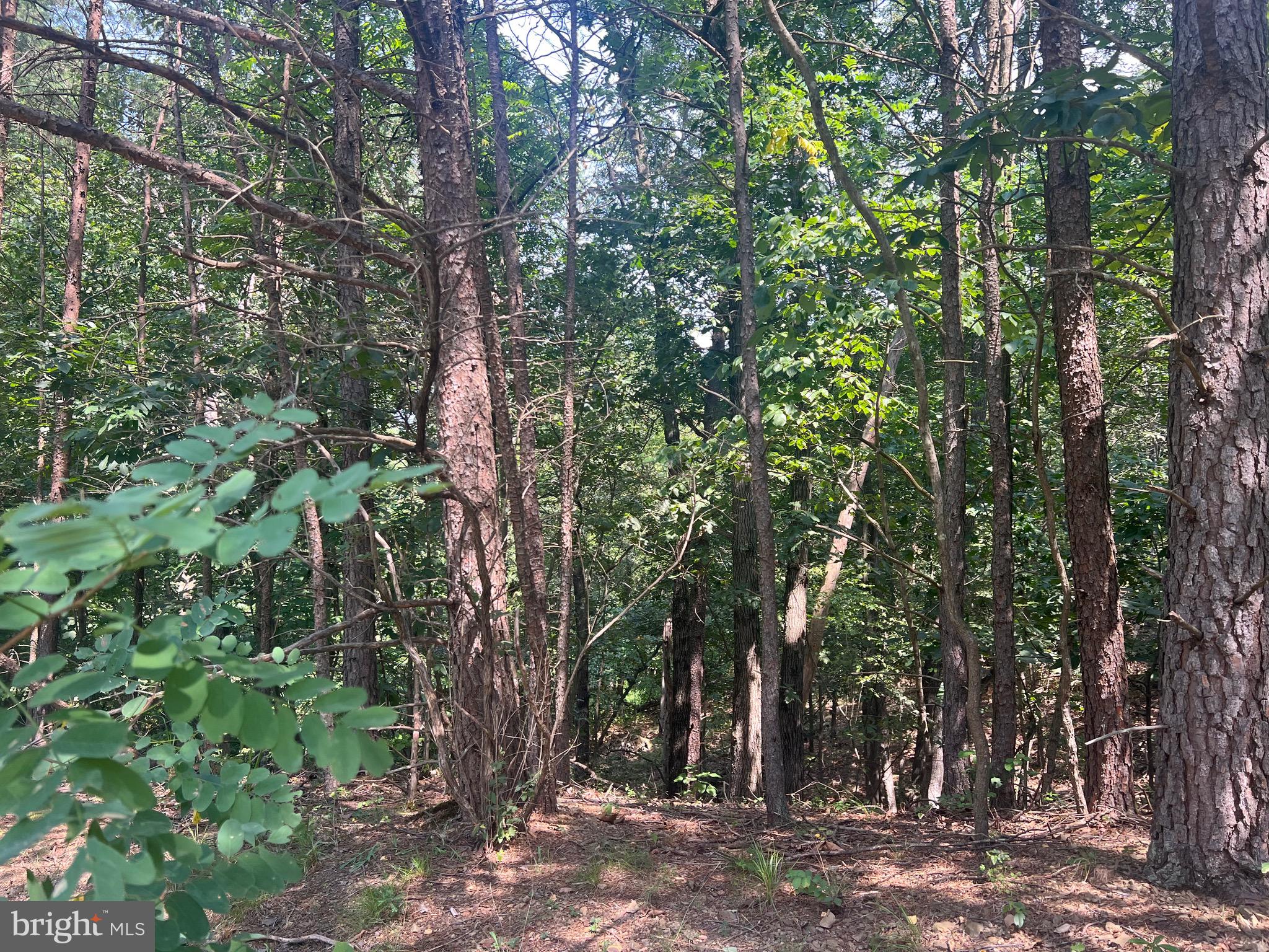 Beautiful 5.29-acre wooded lot conveniently located approximately 20 minutes from I-81 making for a great commuter location. This property is also located approximately 20 minutes from downtown Berkeley Springs where you will find a variety of local shops, spas, and restaurants as well as Berkeley Springs State Park. Looking for privacy? Serenity? Clear just enough of this lot to build your dream home yet still be nestled amongst the trees creating the privacy and serenity you crave. Whether you are looking for land to build your dream home now or looking ahead to your future, this property is certainly worth taking a look!