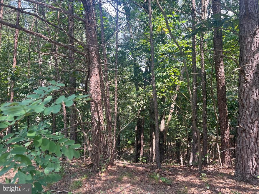 Beautiful 5.29-acre wooded lot conveniently located approximately 20 minutes from I-81 making for a great commuter location. This property is also located approximately 20 minutes from downtown Berkeley Springs where you will find a variety of local shops, spas, and restaurants as well as Berkeley Springs State Park.  Looking for privacy? Serenity? Clear just enough of this lot to build your dream home yet still be nestled amongst the trees creating the privacy and serenity you crave. Whether you are looking for land to build your dream home now or looking ahead to your future, this property is certainly worth taking a look!