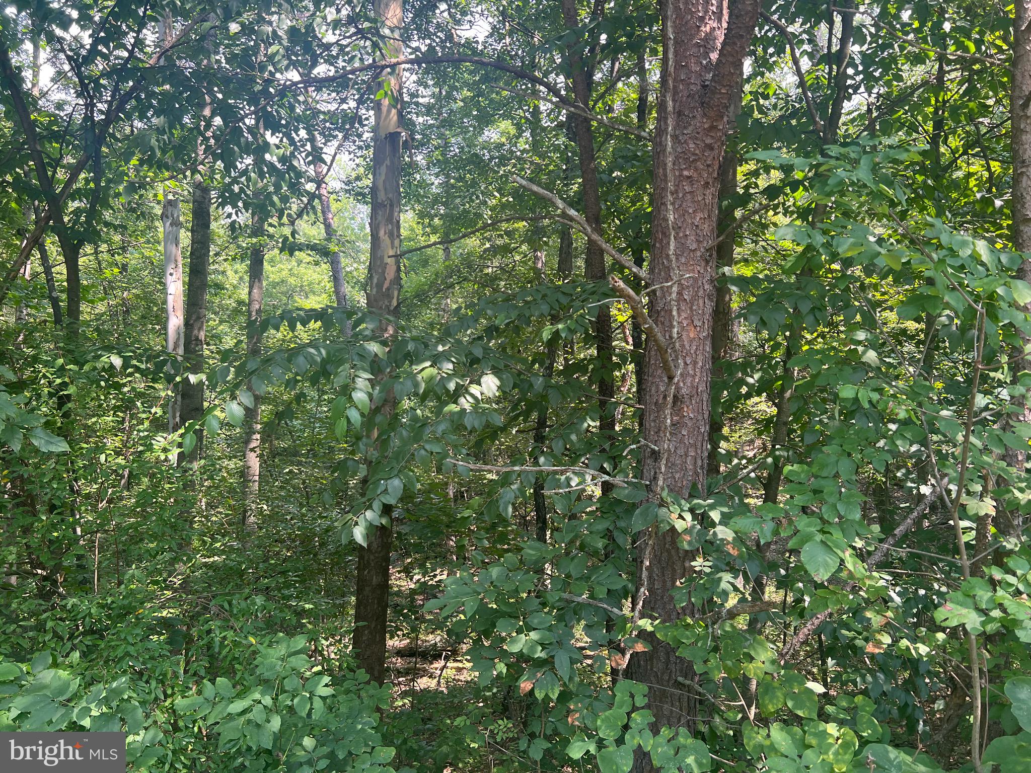 COUNTRY ACRES - Land