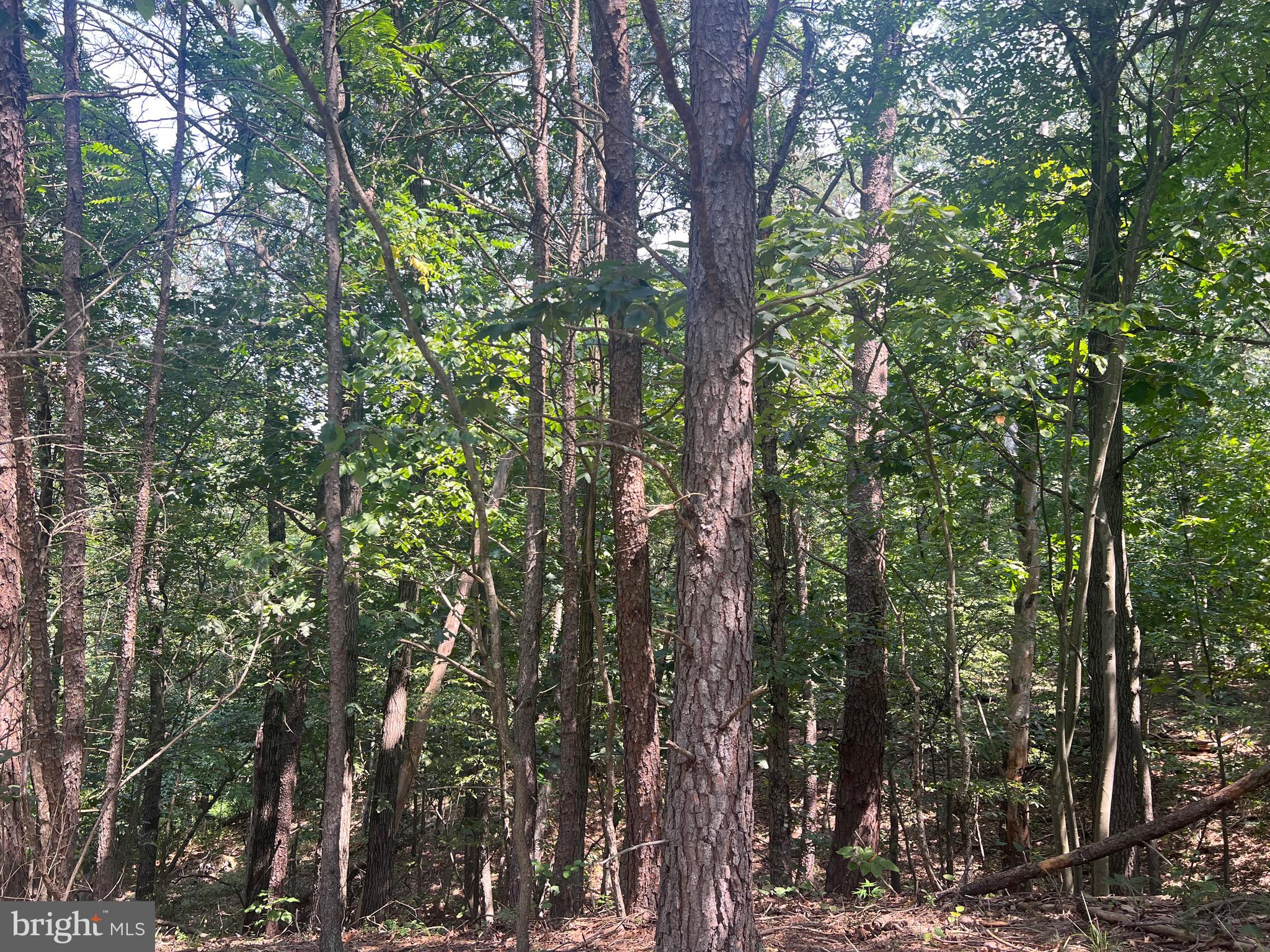 COUNTRY ACRES - Land