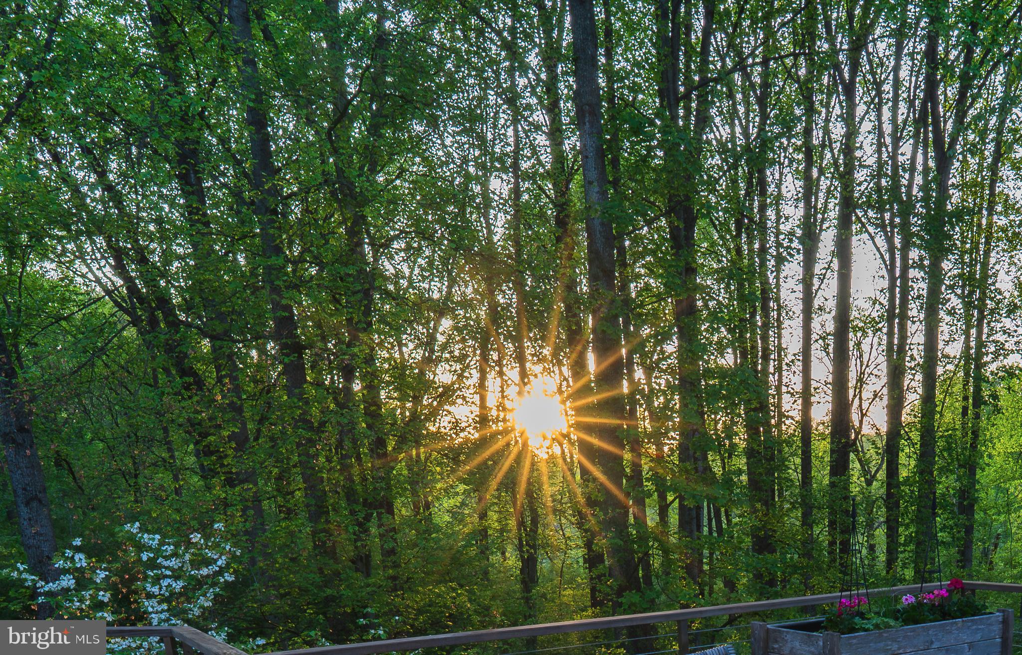 VILLAGE OF RIVER HILL - Residential