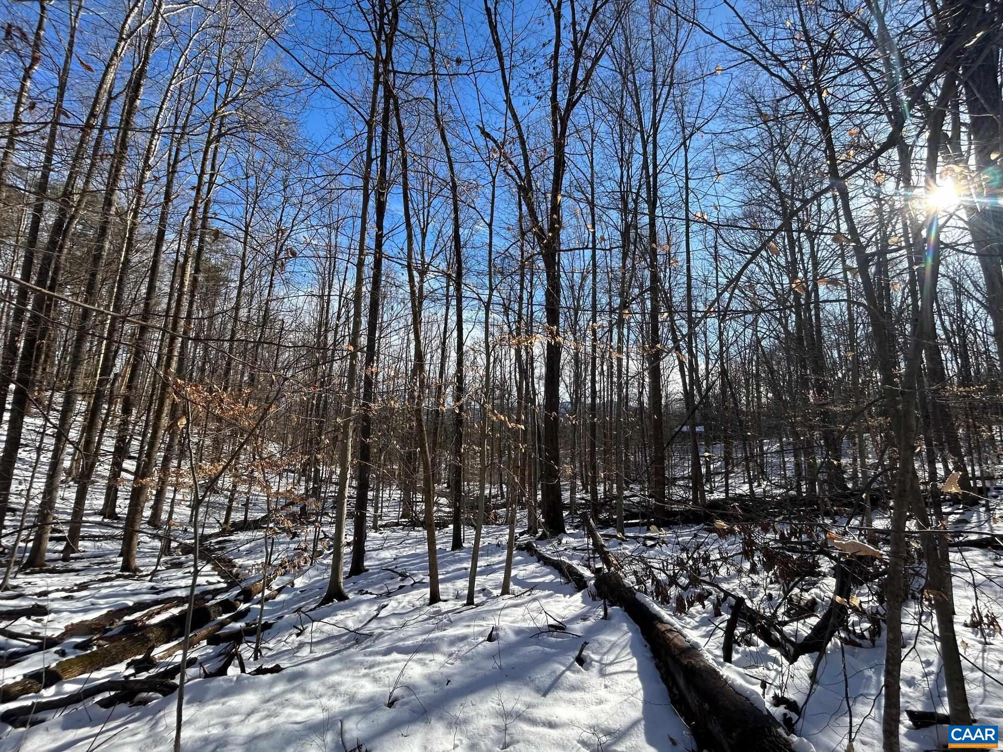 0 STONE CHIMNEYS RD 1
