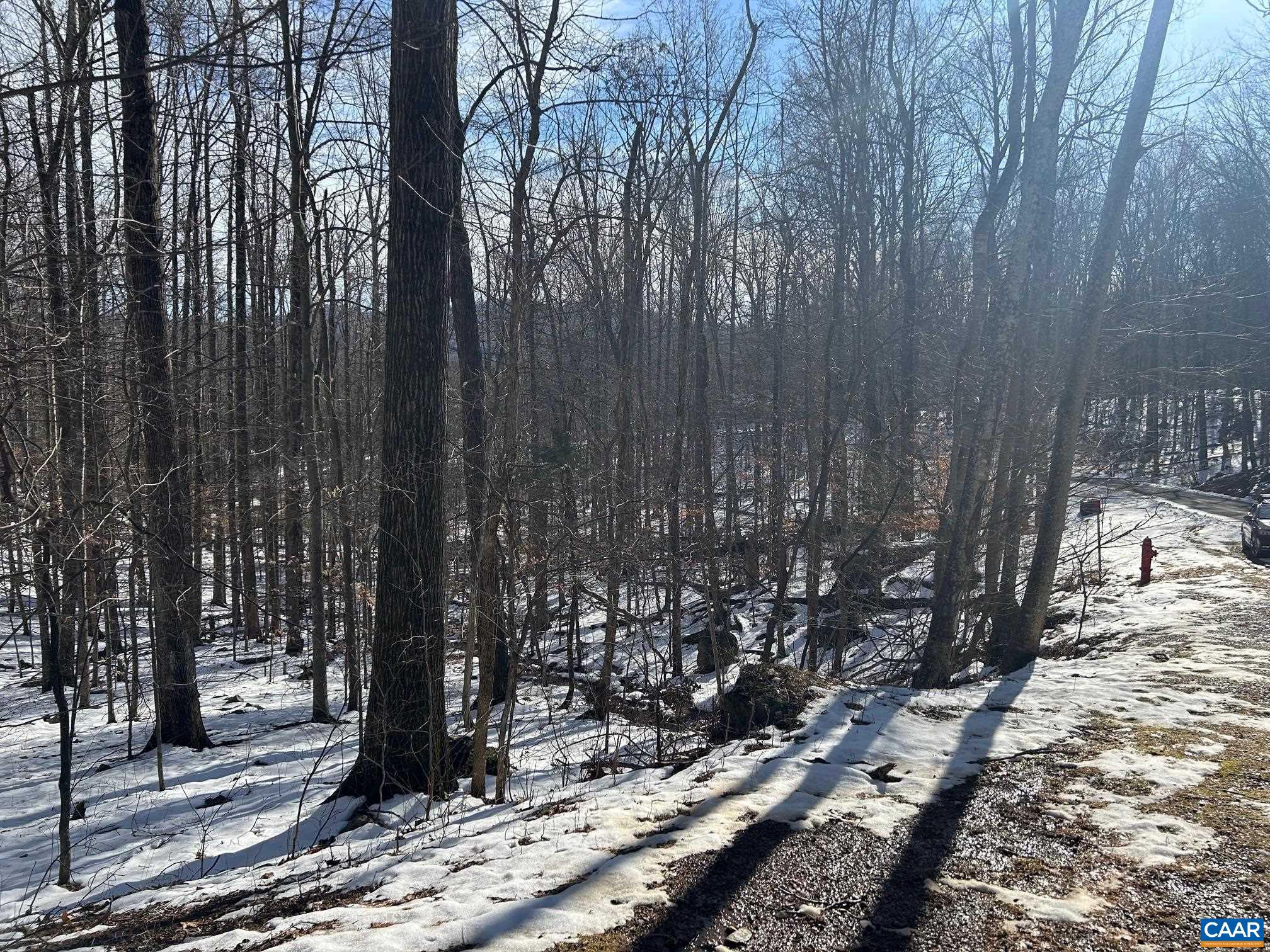 0 STONE CHIMNEYS RD 1