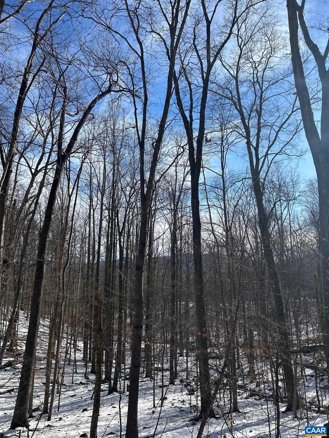 0 STONE CHIMNEYS RD 1