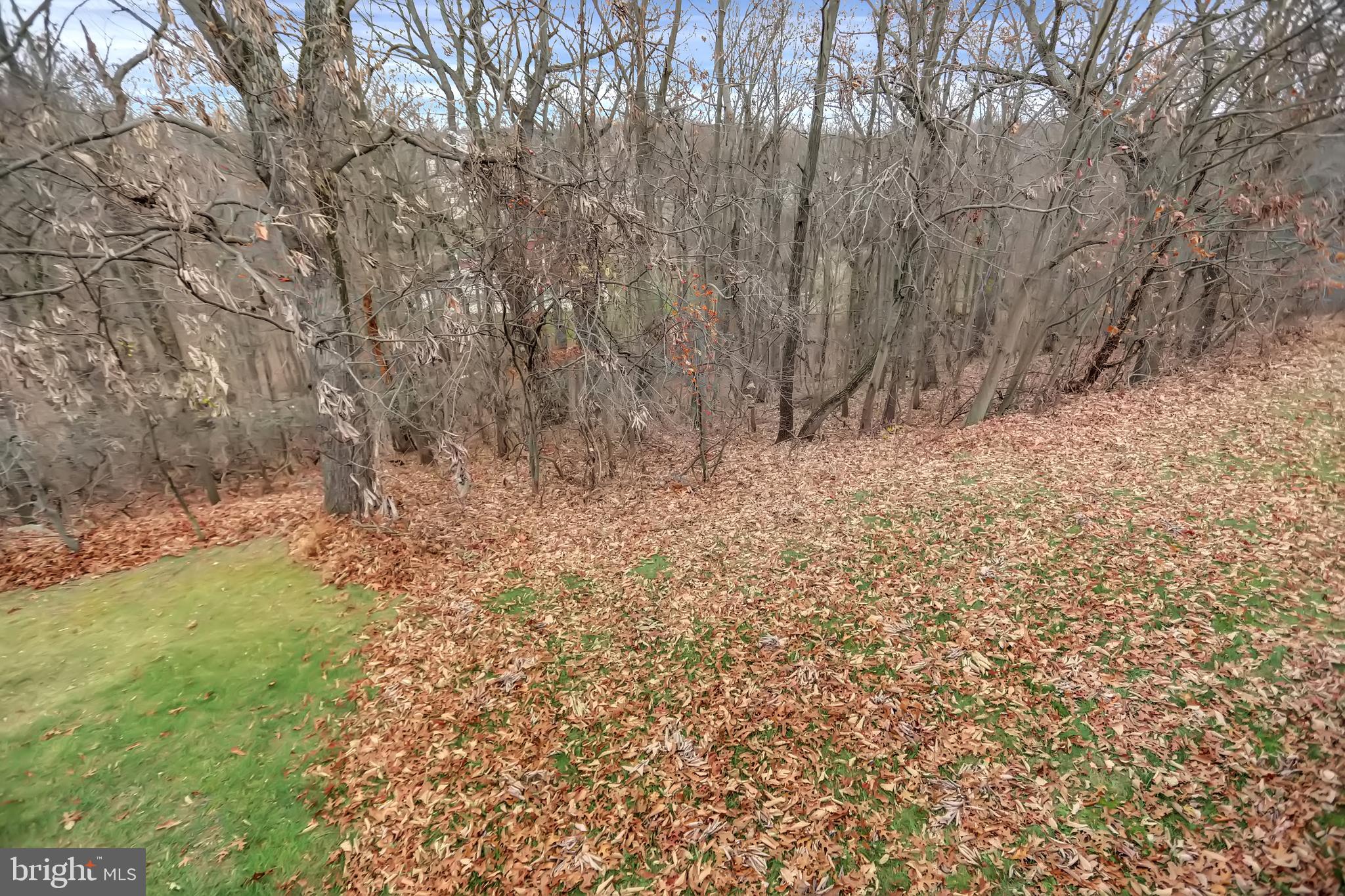 OWINGS MILLS - Residential