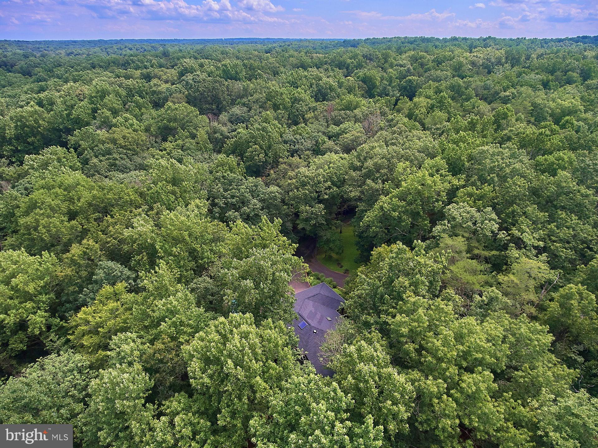 SHADOWALK - Residential