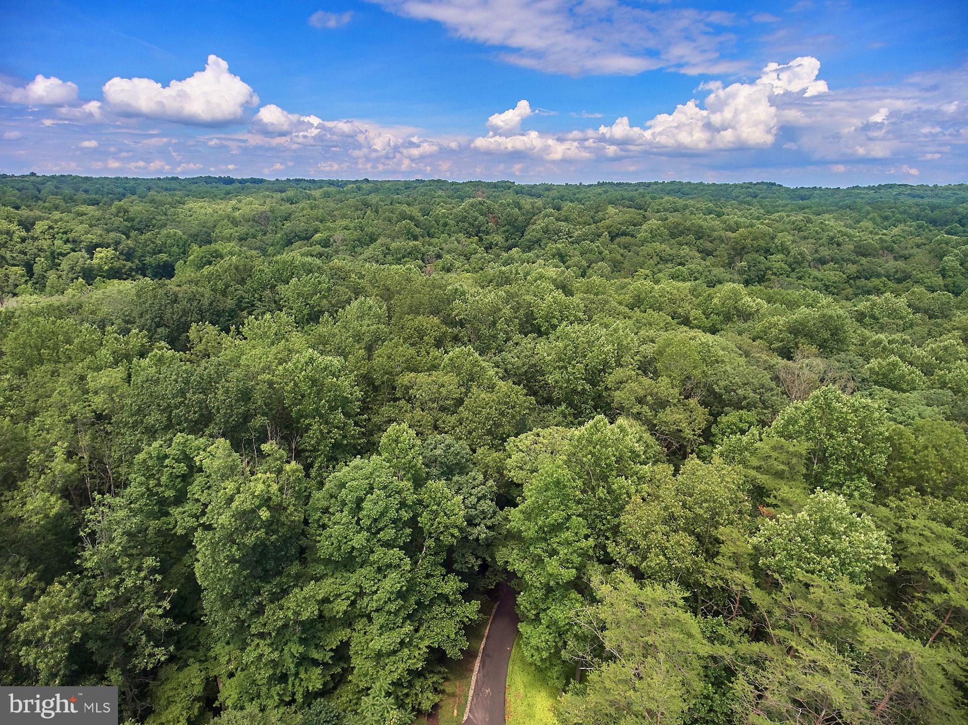 SHADOWALK - Residential