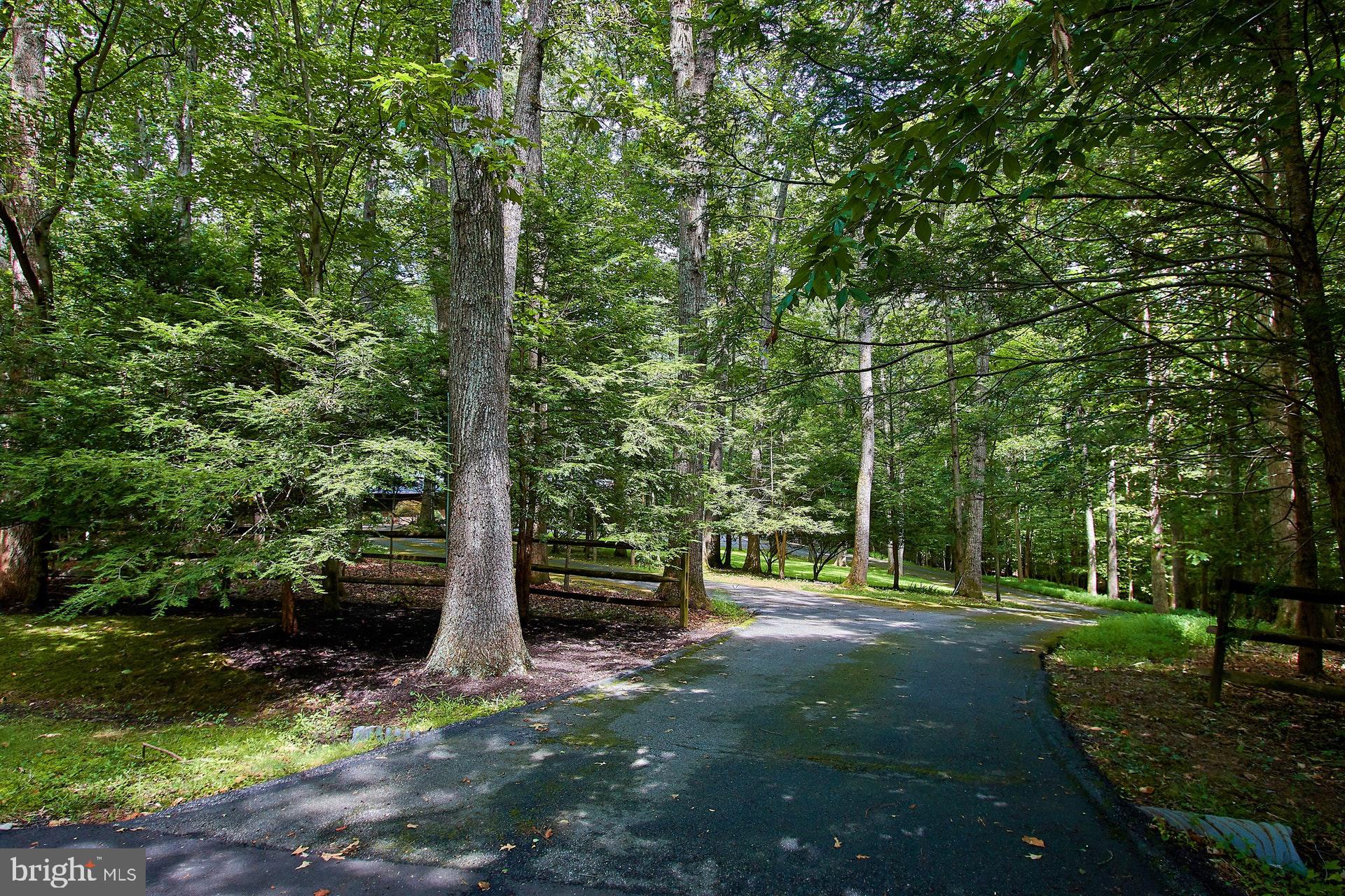 SHADOWALK - Residential