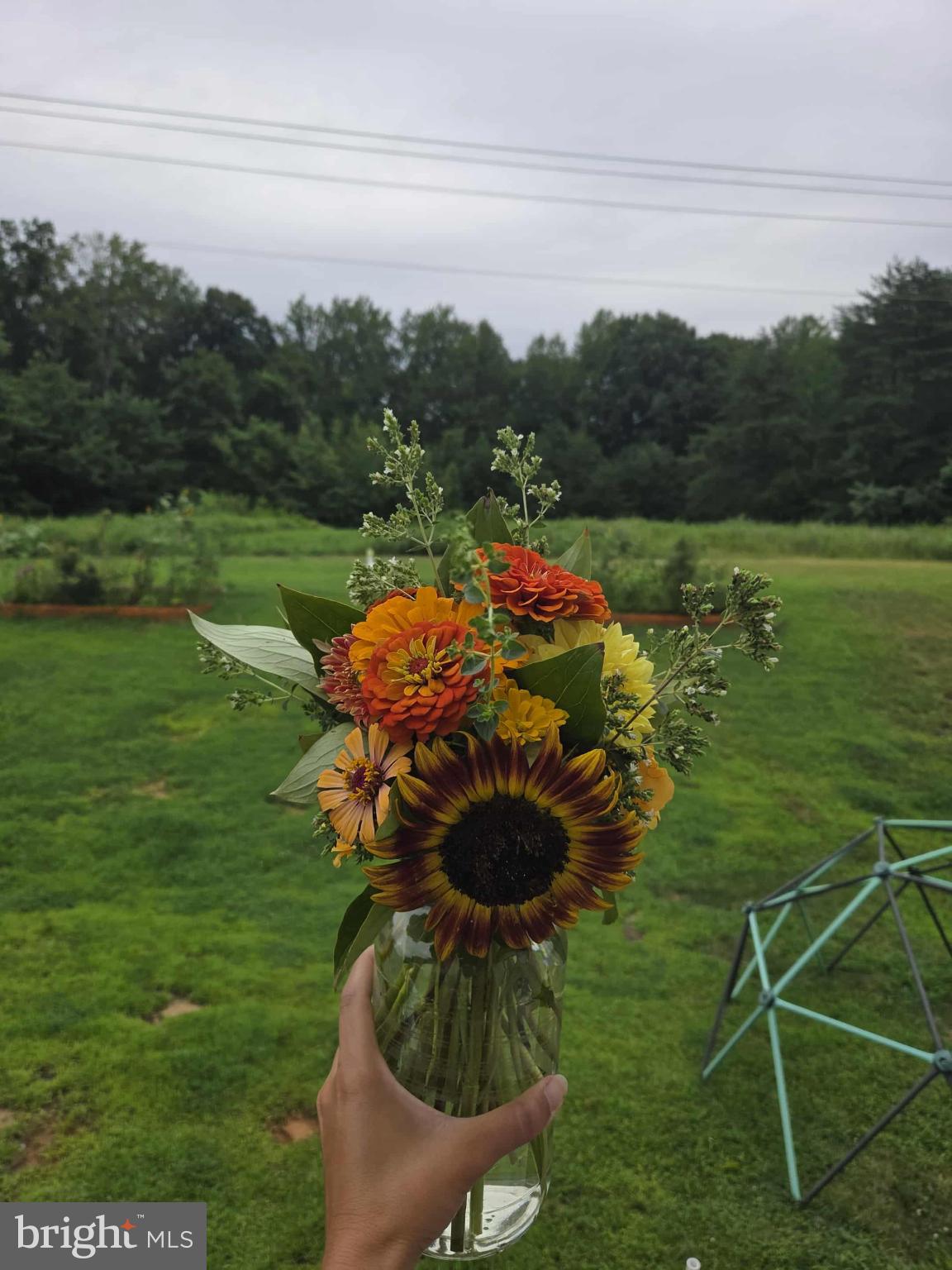 EMBREY MILL - Residential