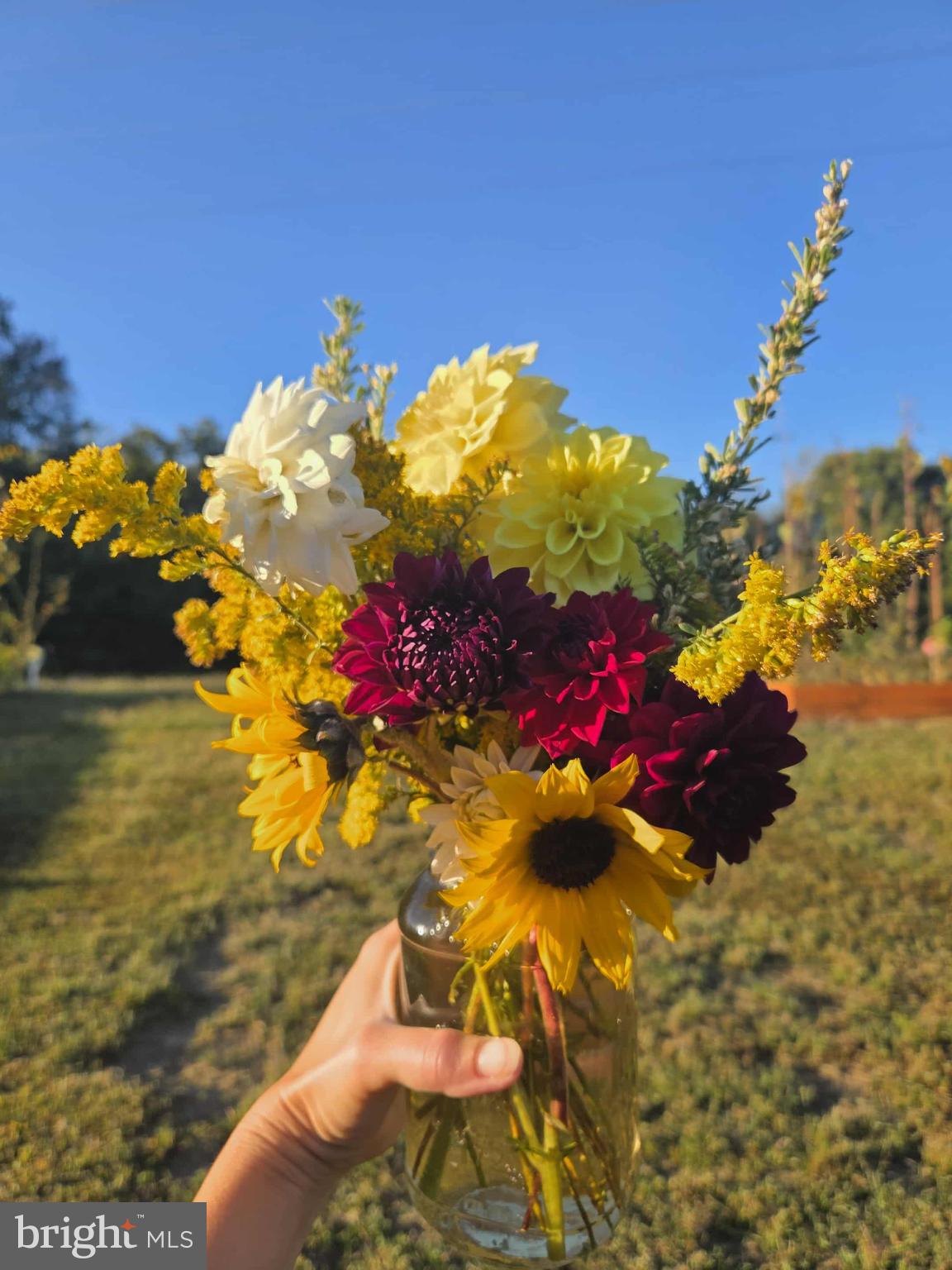 EMBREY MILL - Residential