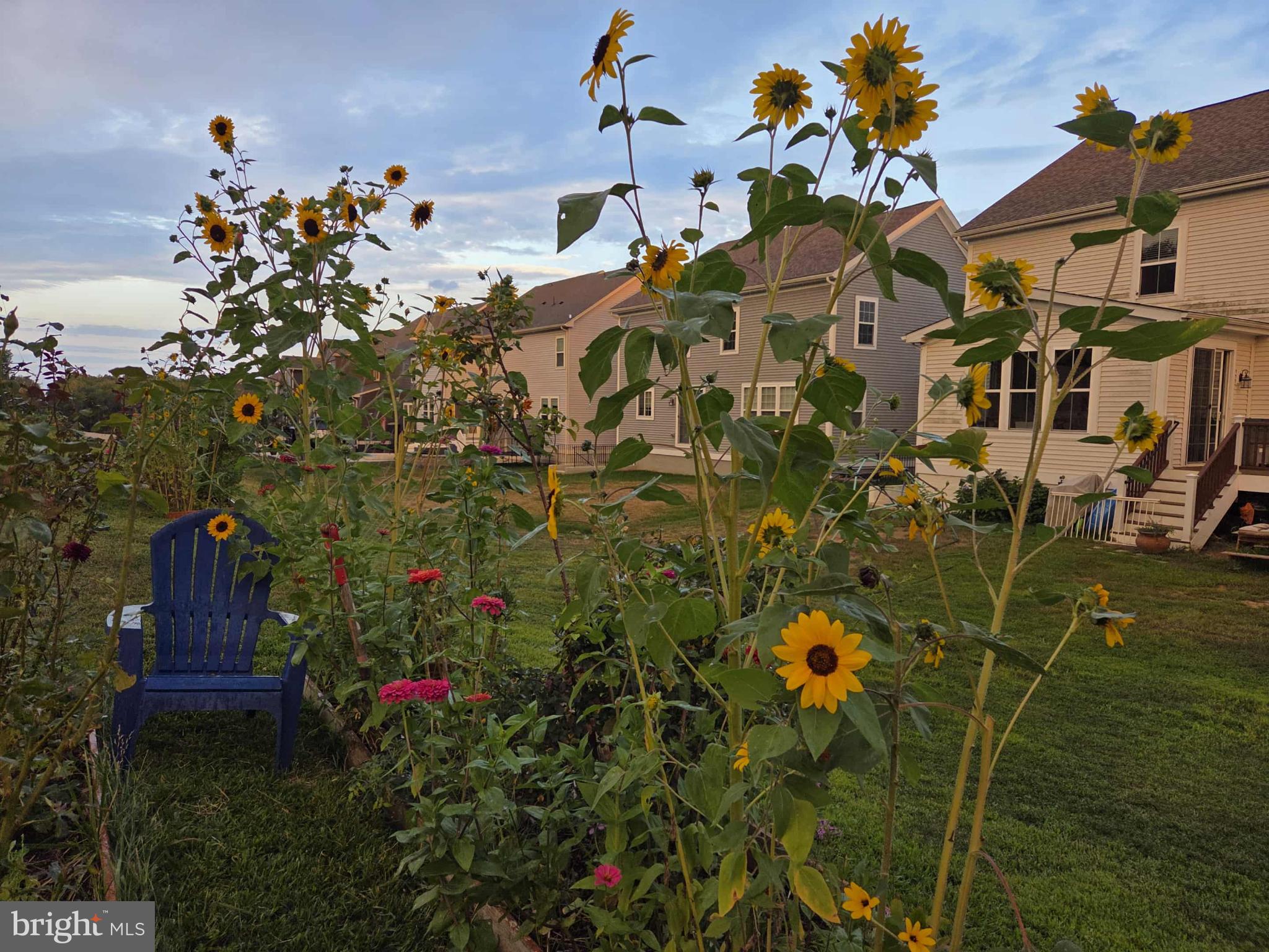 EMBREY MILL - Residential