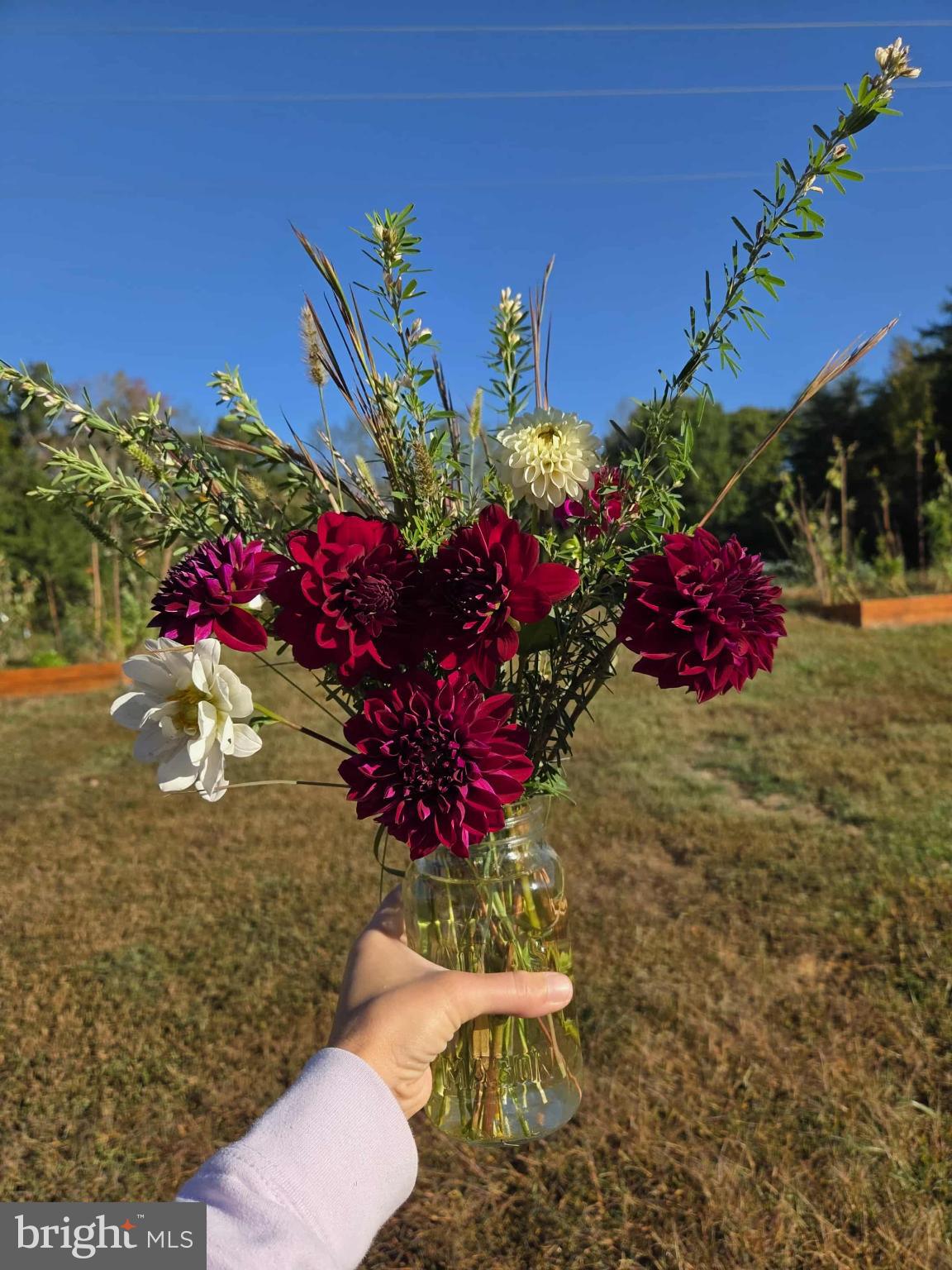 EMBREY MILL - Residential